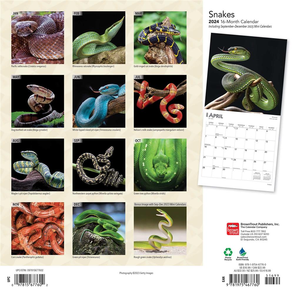 Snakes 2024 Wall Calendar