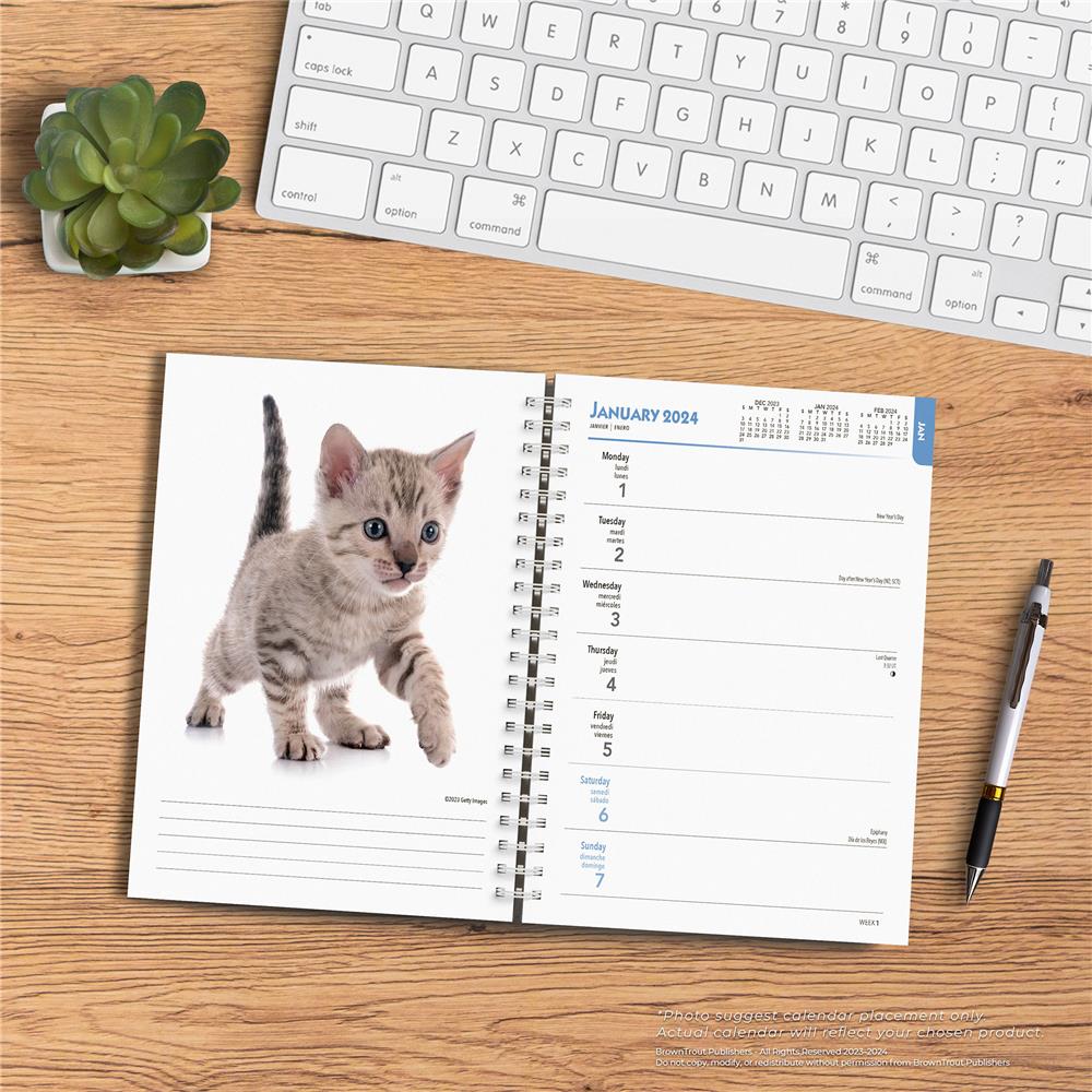 Kittens 2024 Engagement Calendar - Online Exclusive