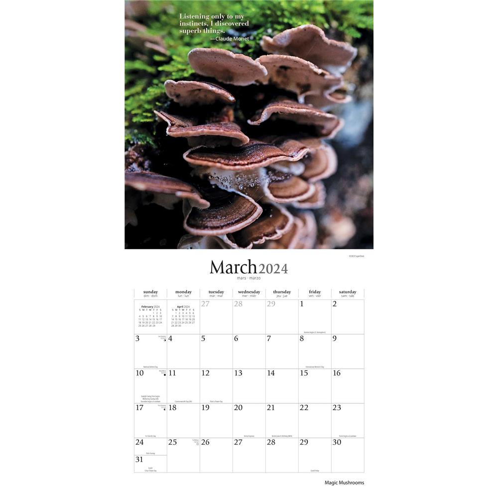 Magic Mushrooms 2024 Wall Calendar