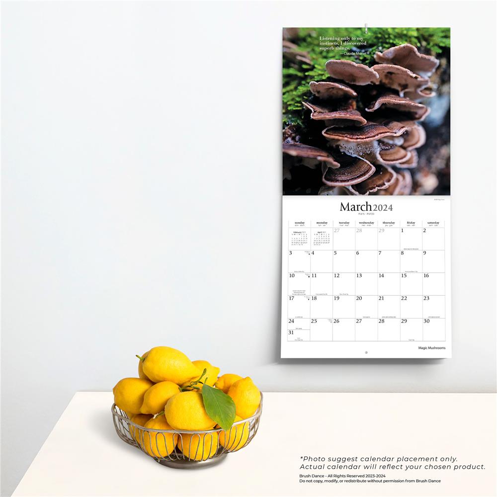 Magic Mushrooms 2024 Wall Calendar