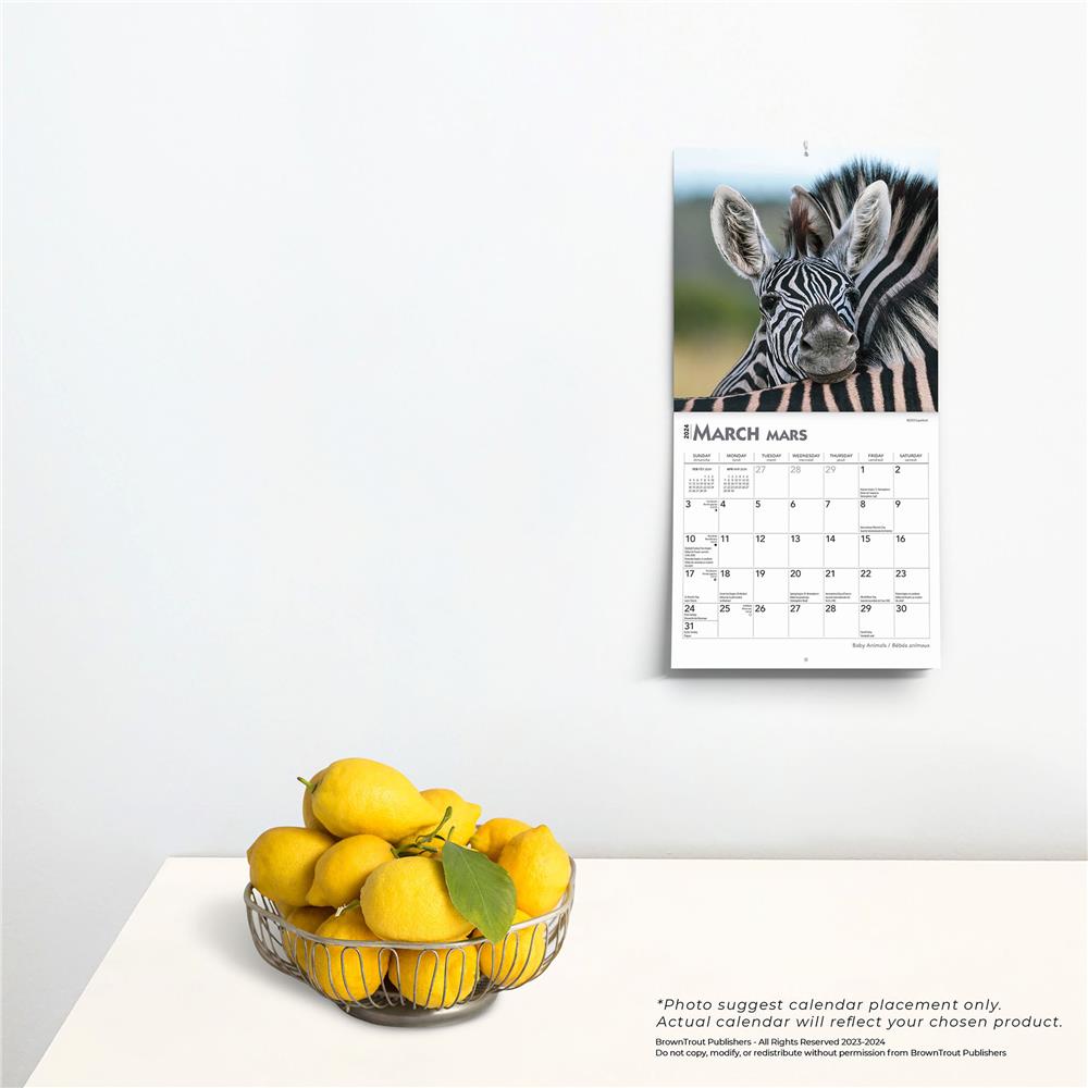 Bebes Animaux Baby Animals 2024 Mini Calendar (French)