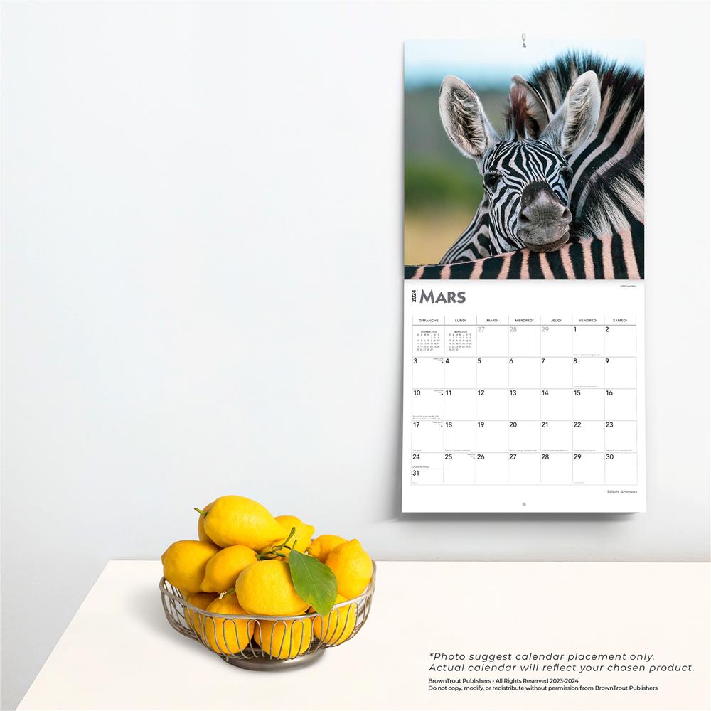 Bebes Animaux 2024 Wall Calendar (French)