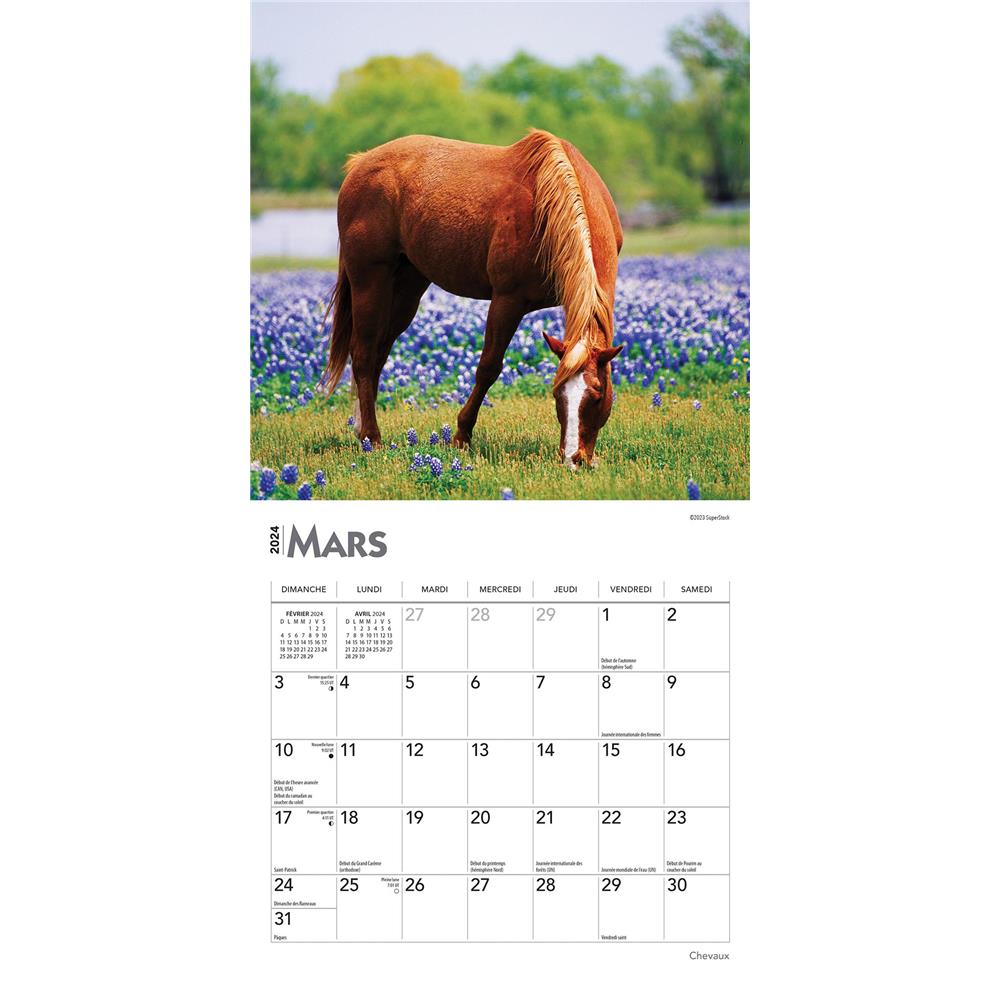 Chevaux 2024 Mini Calendar (French)