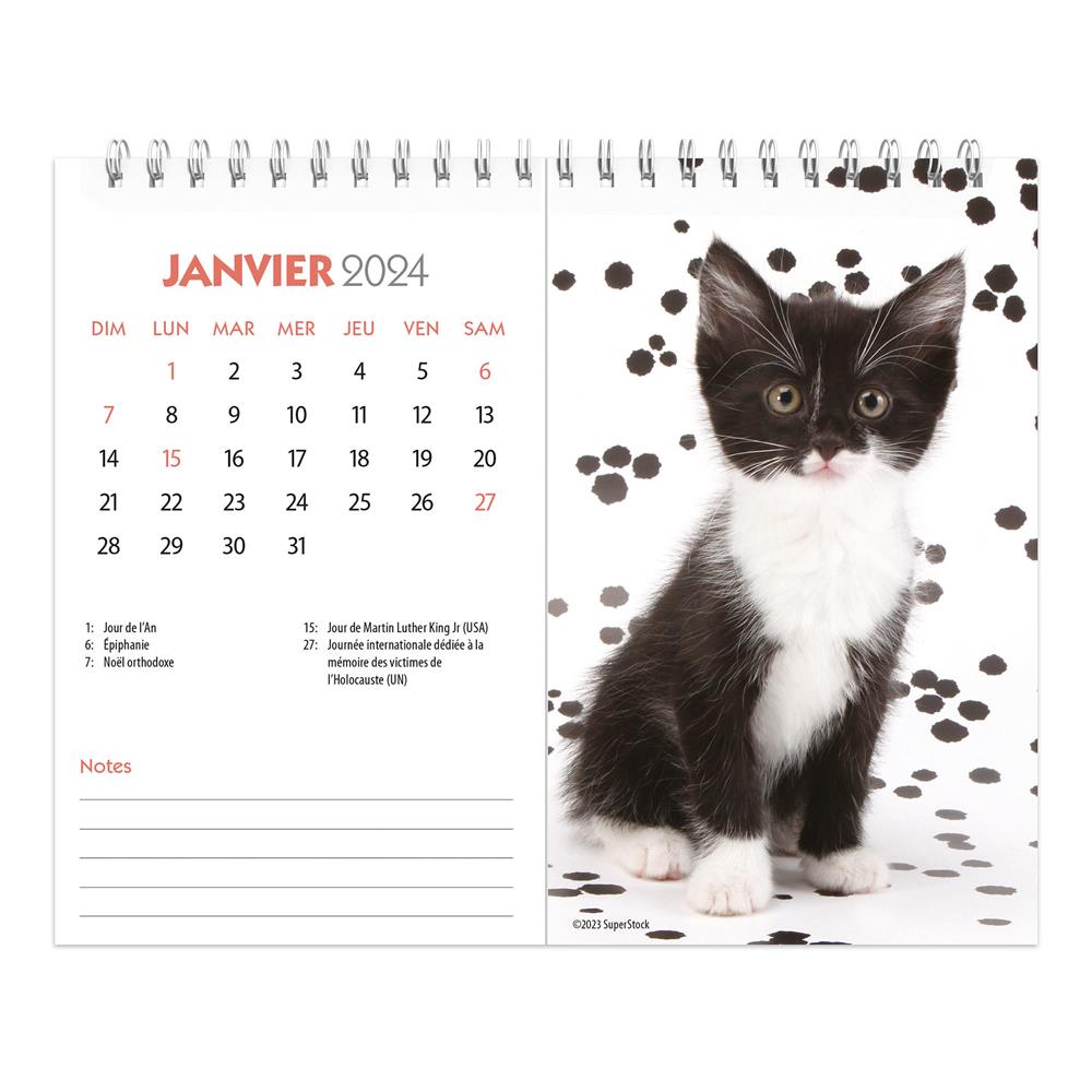Chatons 2024 Easel Calendar (French)