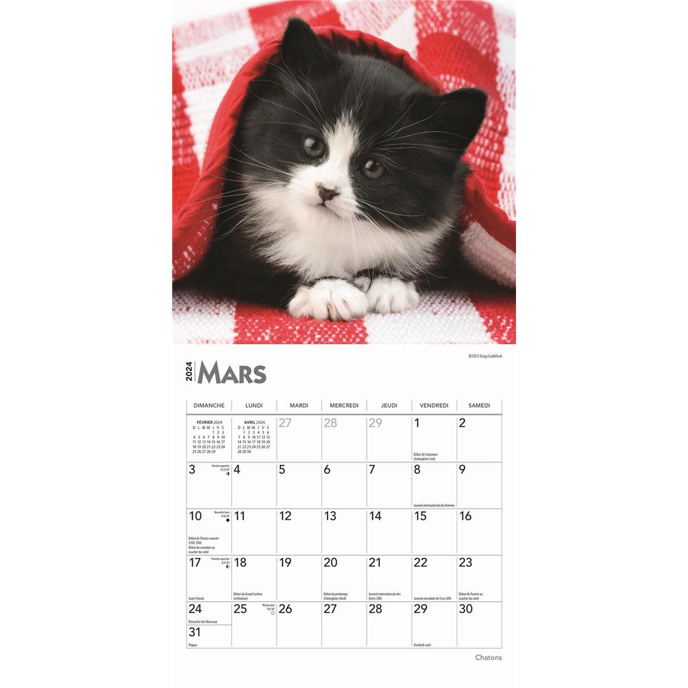 Chatons 2024 Mini Calendar (French)
