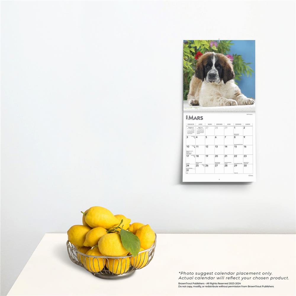 Chiots 2024 Mini Calendar (French)