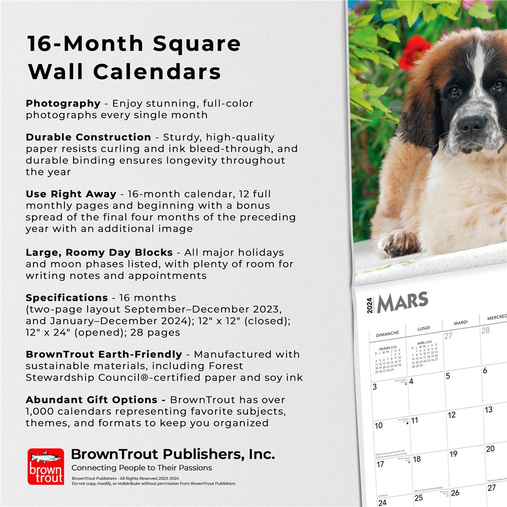 Chiots 2024 Wall Calendar (French)
