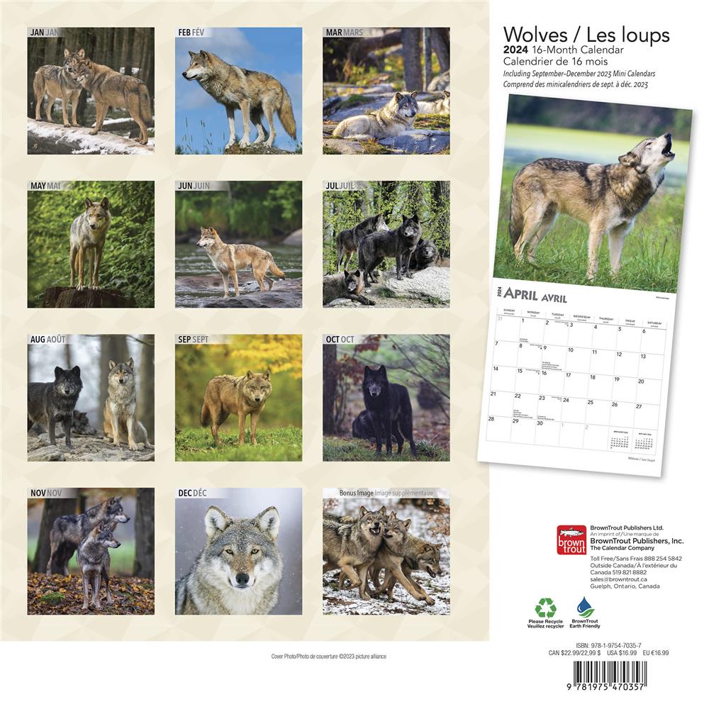 Wolves Les loups 2024 Wall Calendar (French)