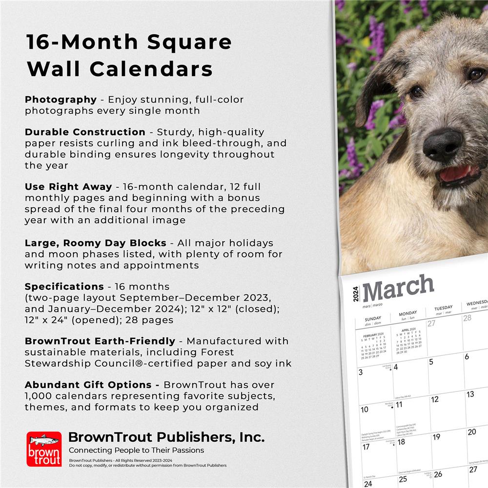 Irish Wolfhounds 2024 Wall Calendar