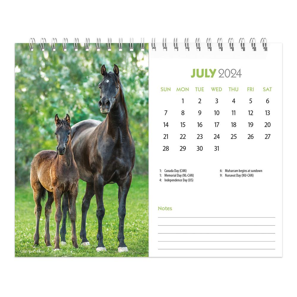 Horse Lovers 2024 Easel Calendar - Online Exclusive