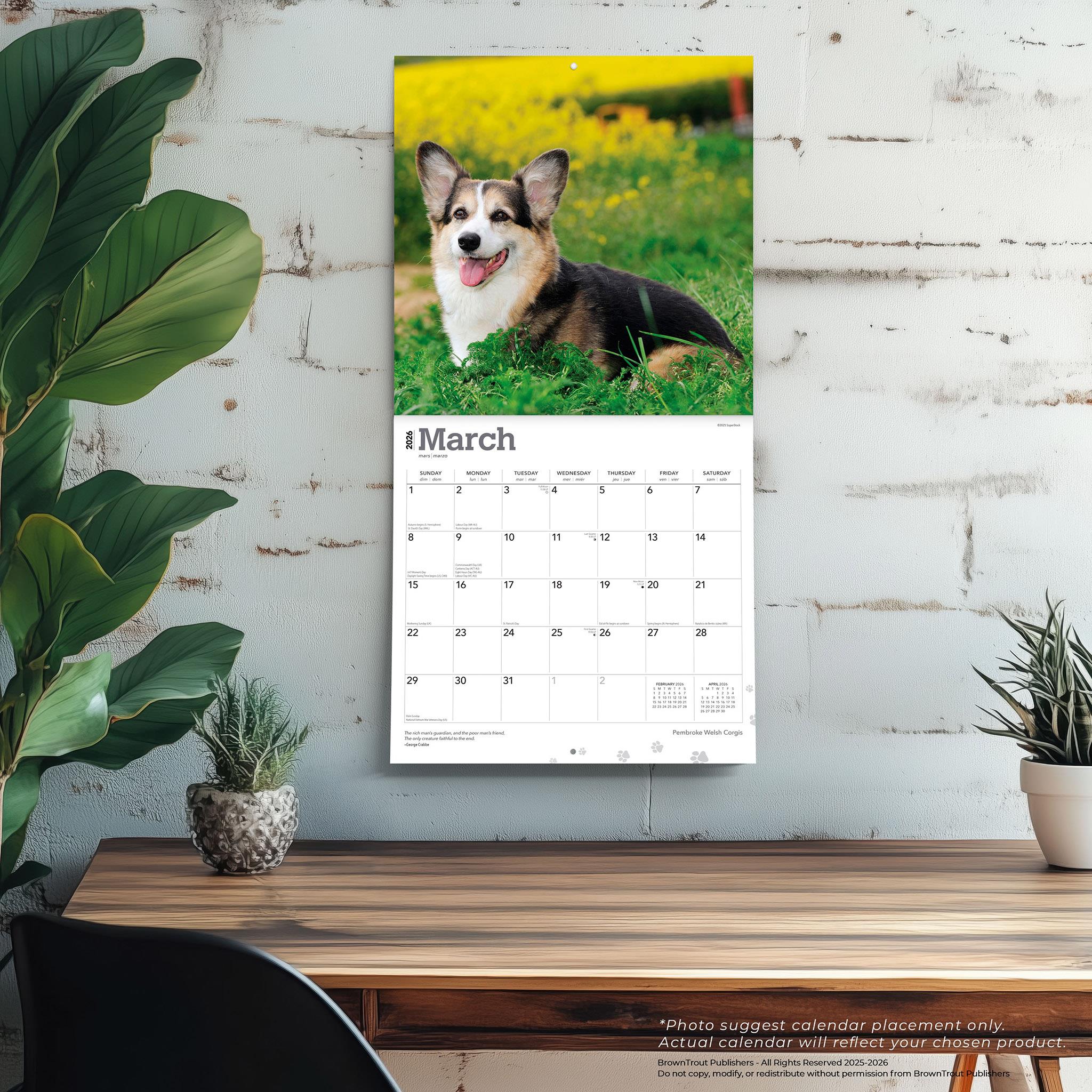 Welsh Corgis Pembroke 2026 Wall Calendar - Online Only
