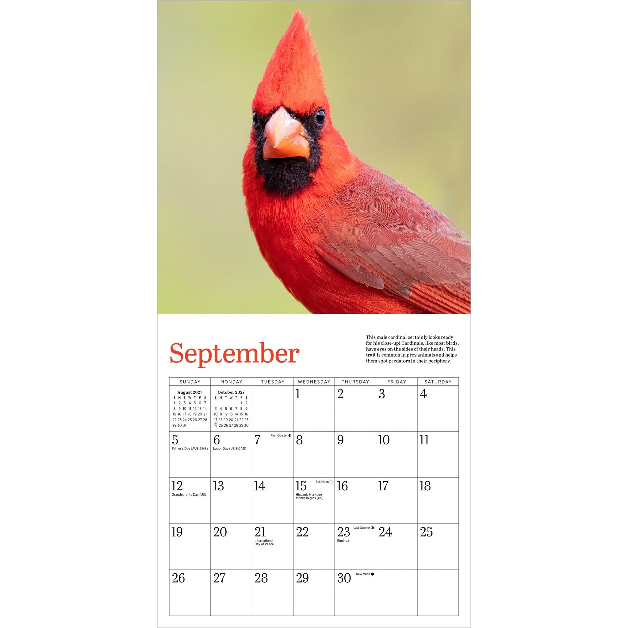Audubon Cardinals 2027 Mini Calendar - Online Only