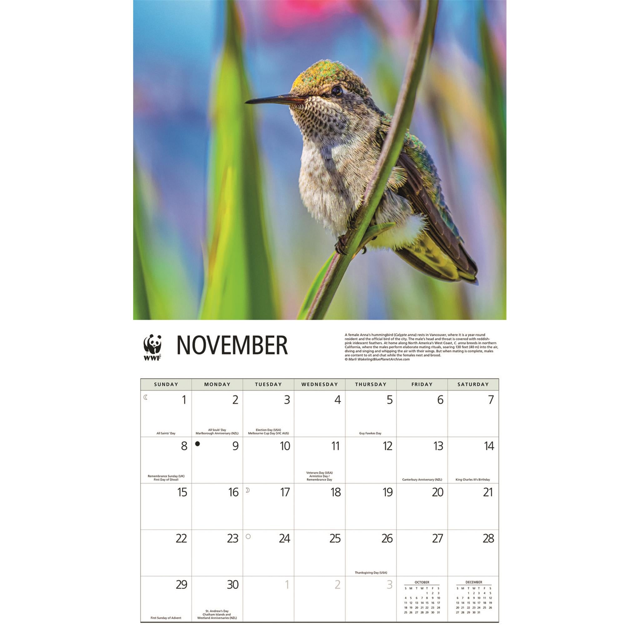 World Wildlife Fund Hummingbirds 2026 Wall Calendar