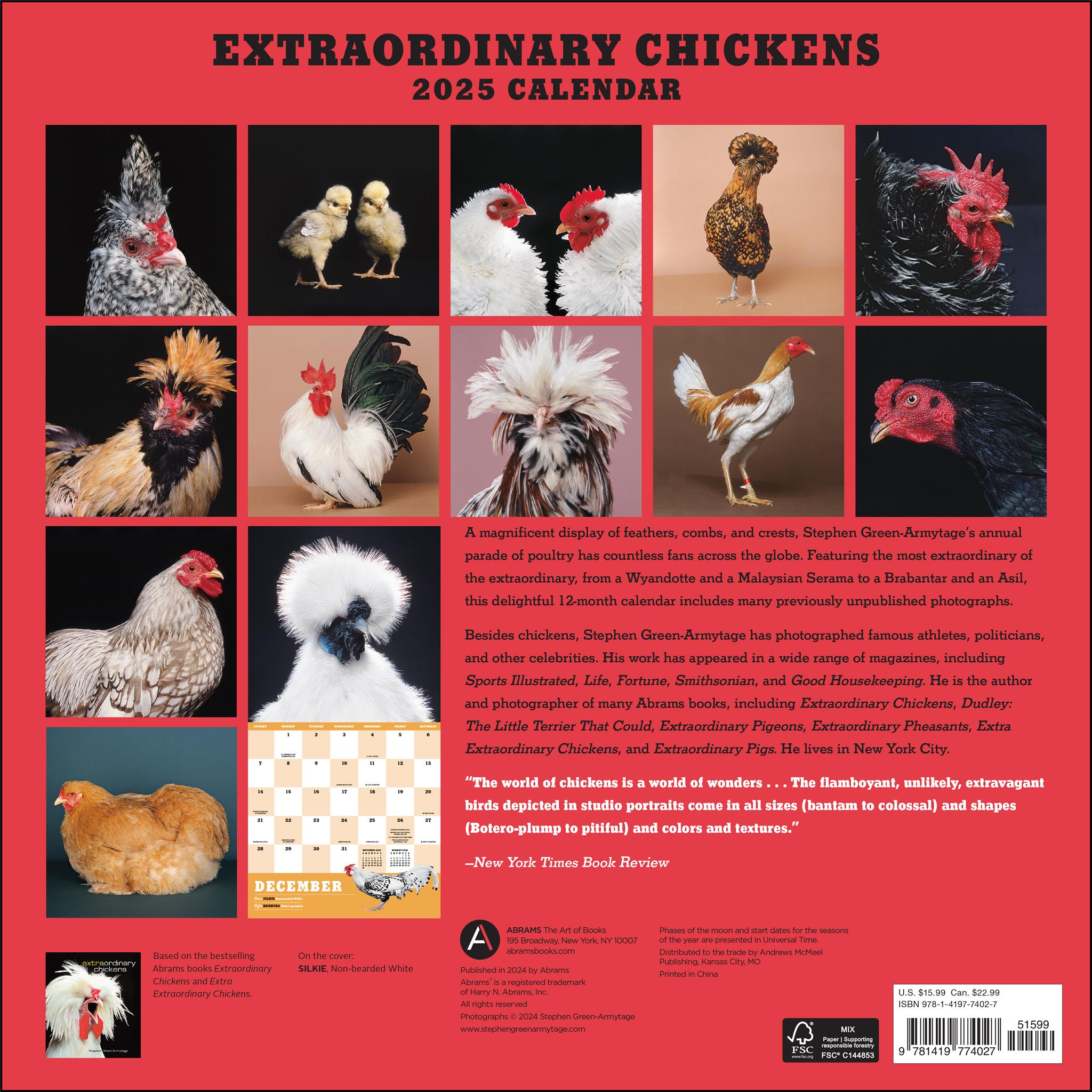 Extraordinary Chickens Wall 2025 Calendar