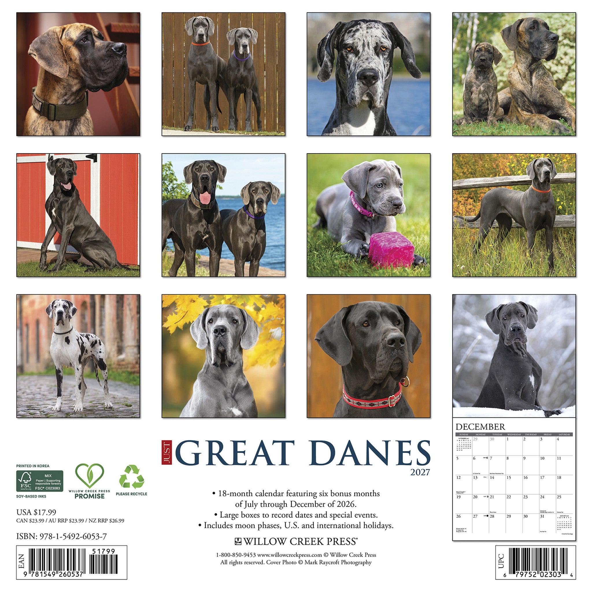 Great Danes 2027 Wall Calendar