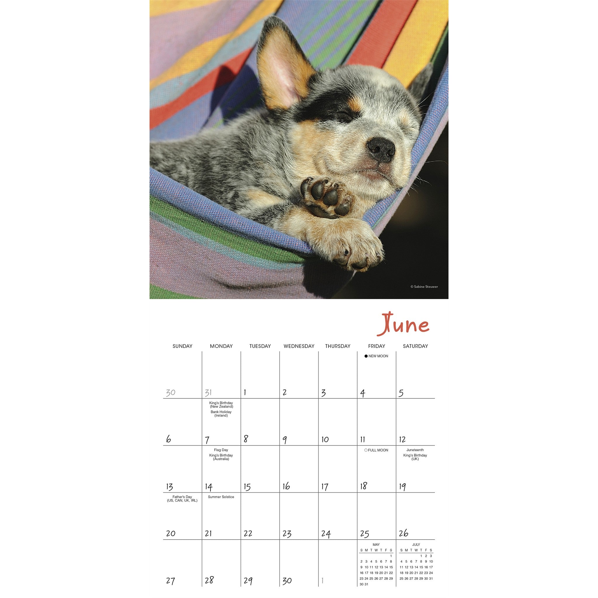 Pooped Puppies 2027 Mini Calendar