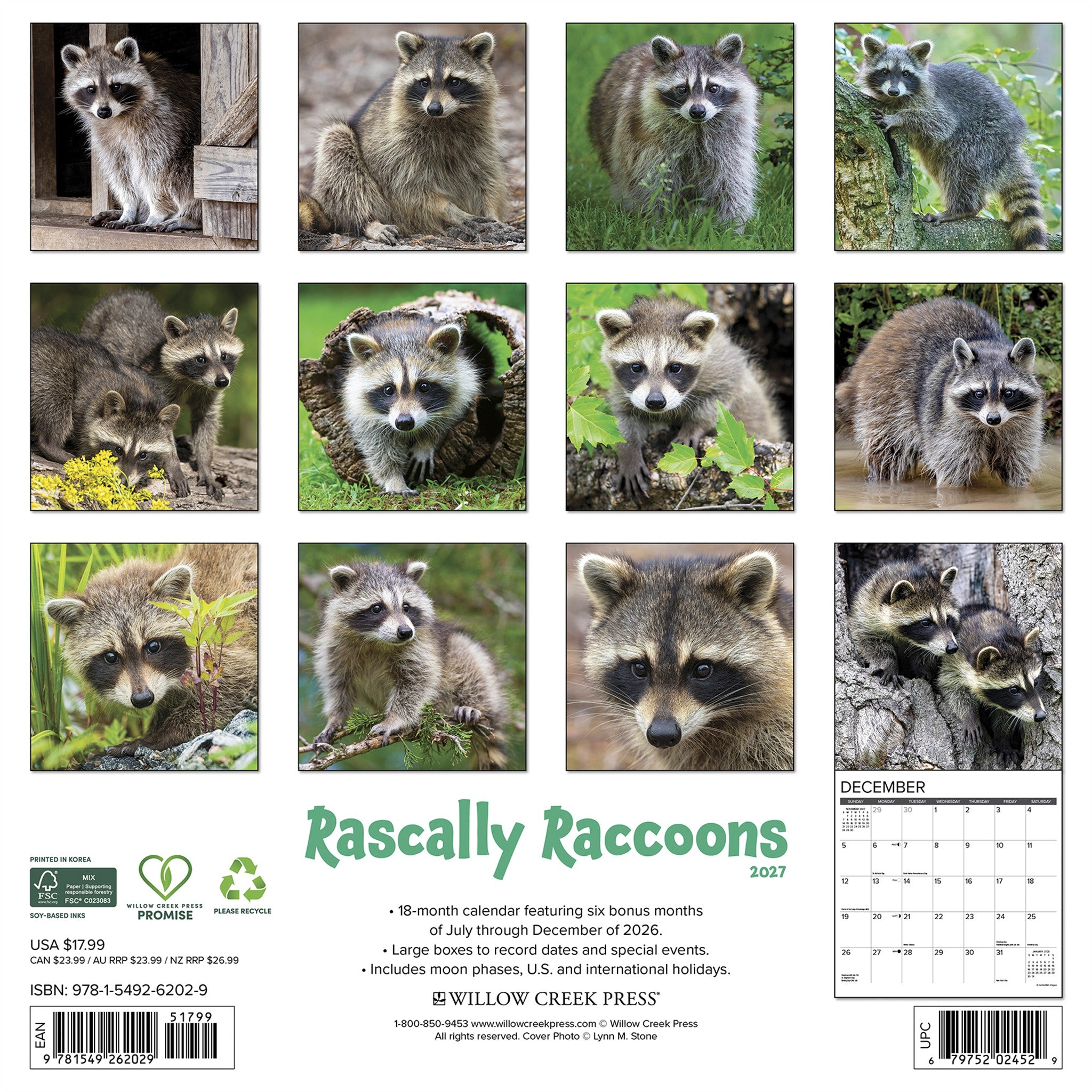 Rascally Raccoons 2027 Wall Calendar