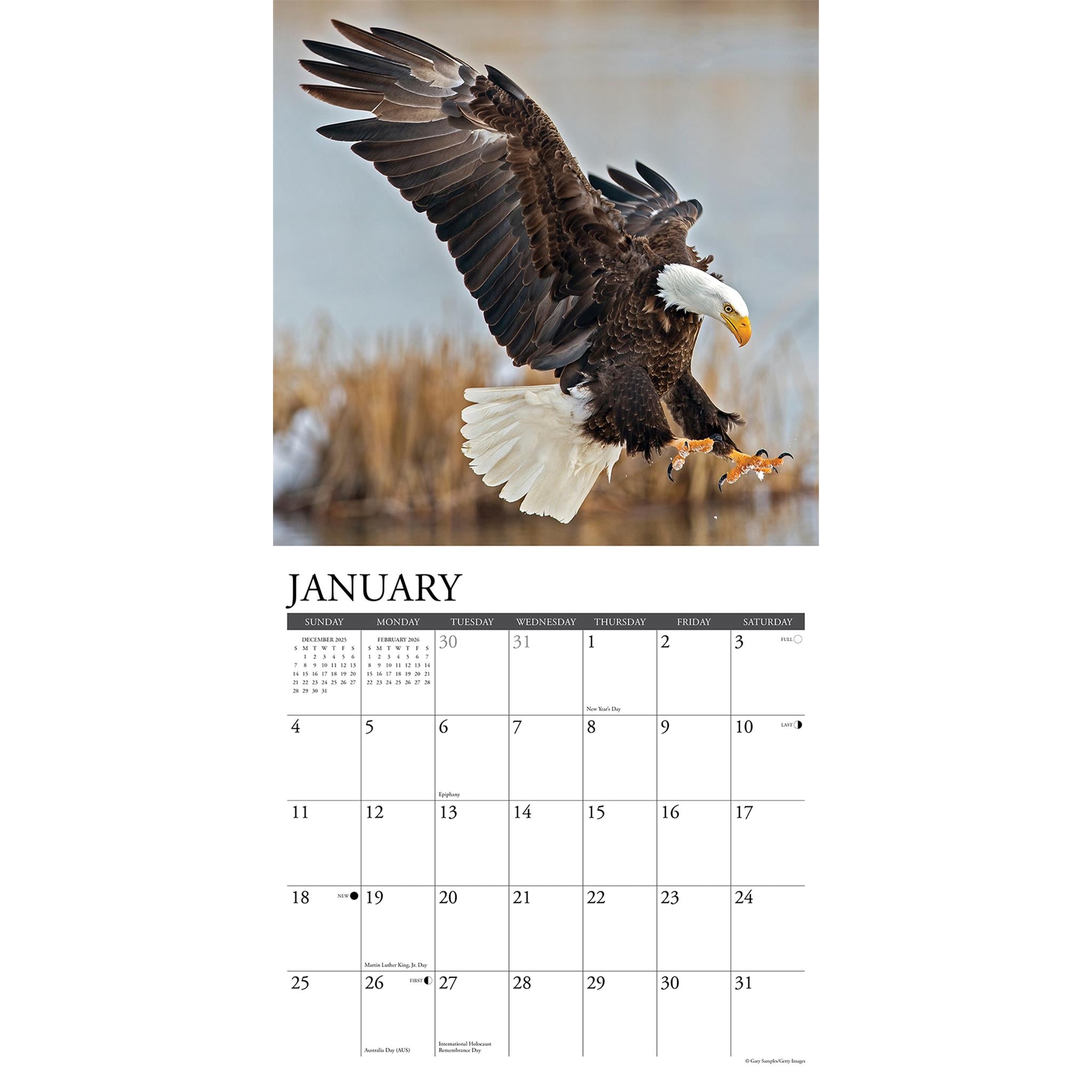 Eagles 2026 Wall Calendar - Online Only
