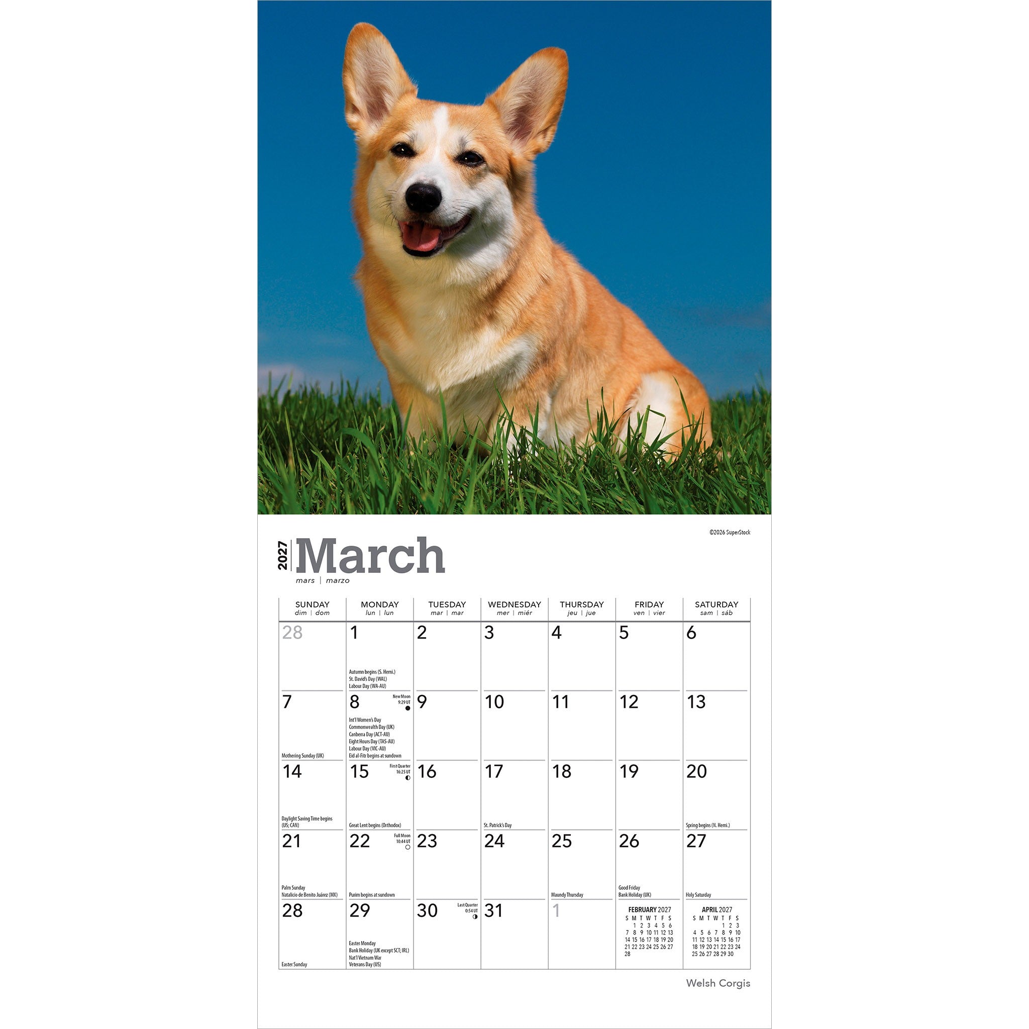 Welsh Corgis 2027 Mini Calendar