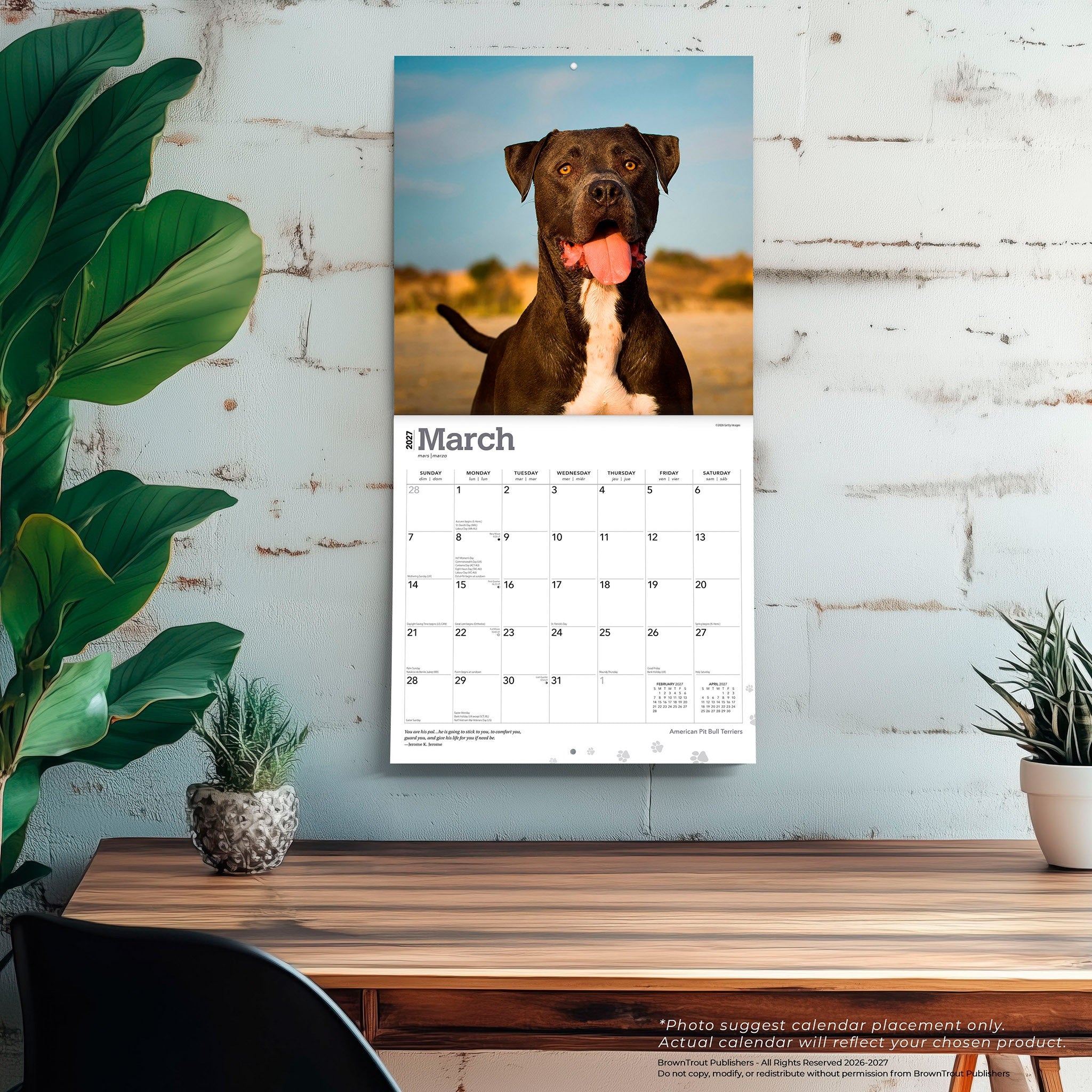 American Pit Bull Terriers 2027 Wall Calendar