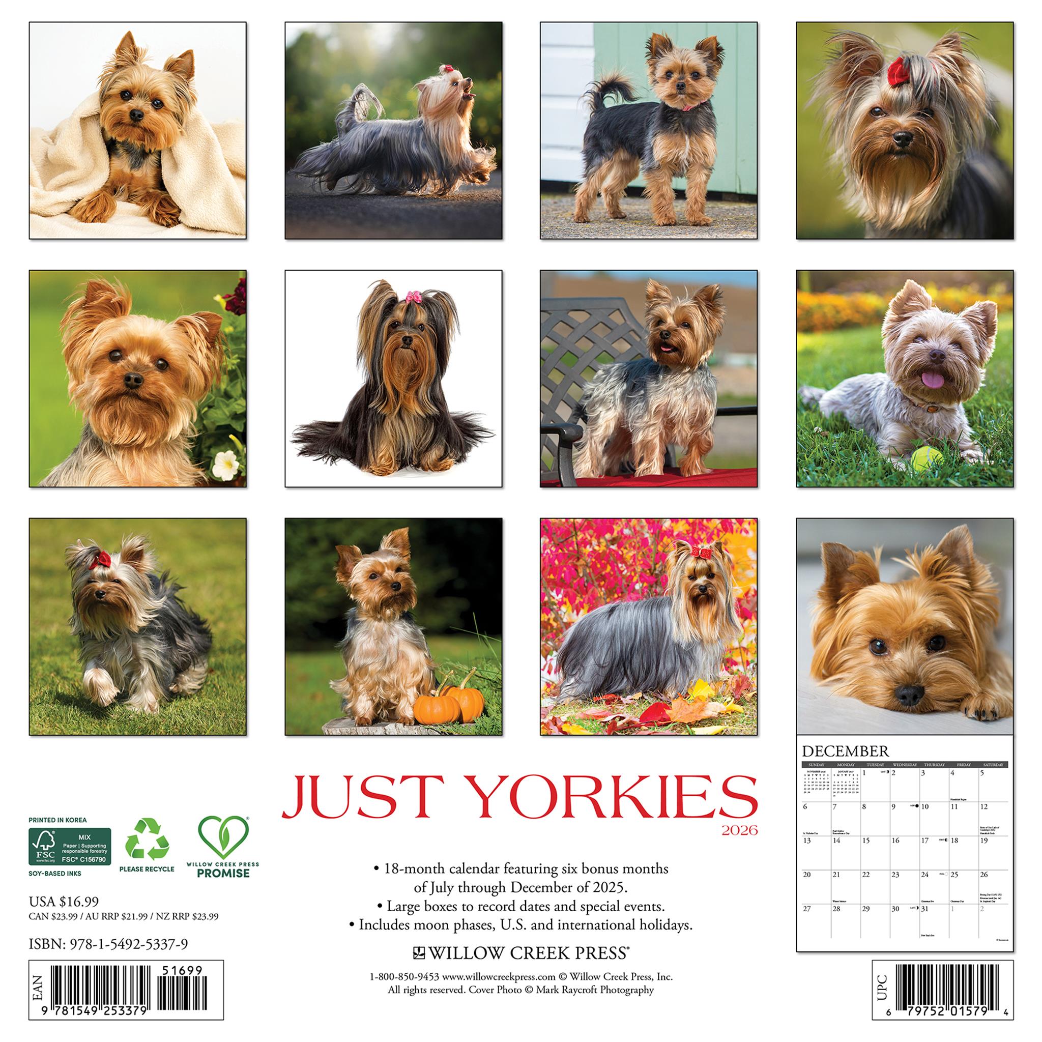 Just Yorkies 2026 Wall Calendar