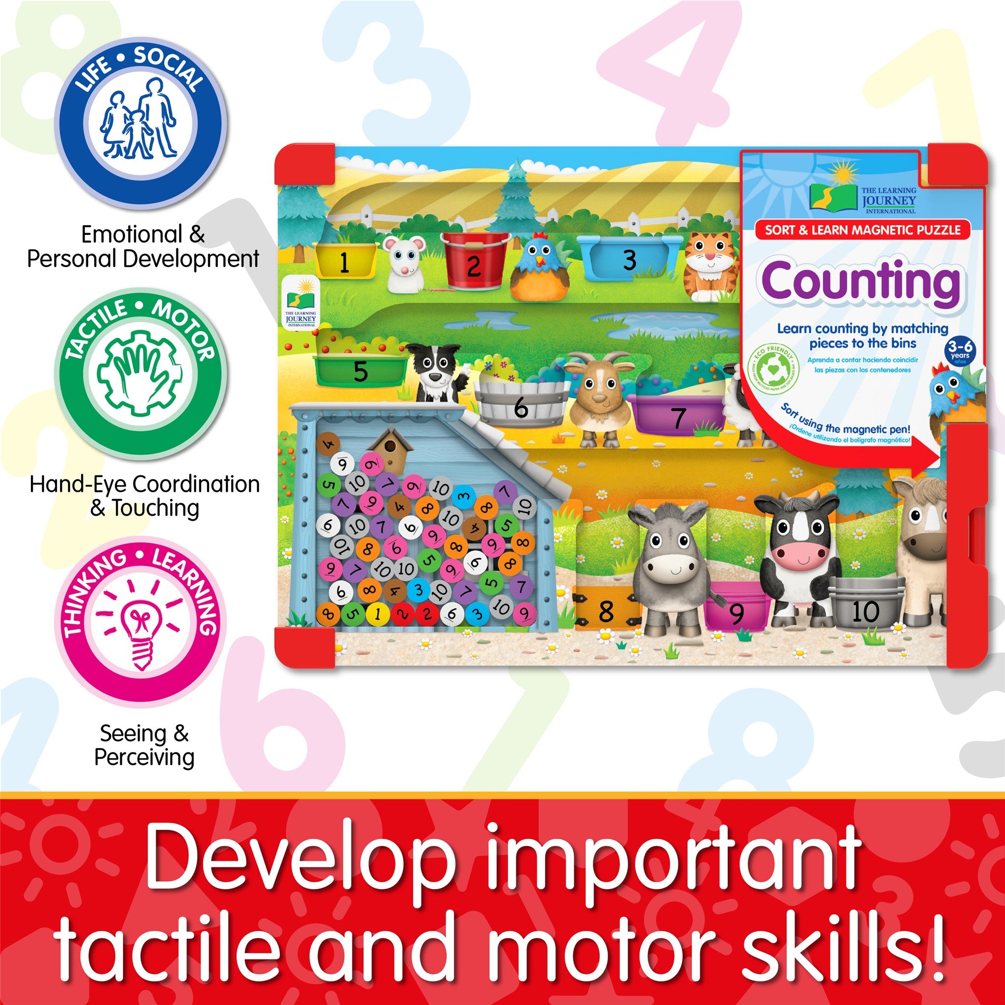 Counting Sort & Learn Magnetic Puzzle