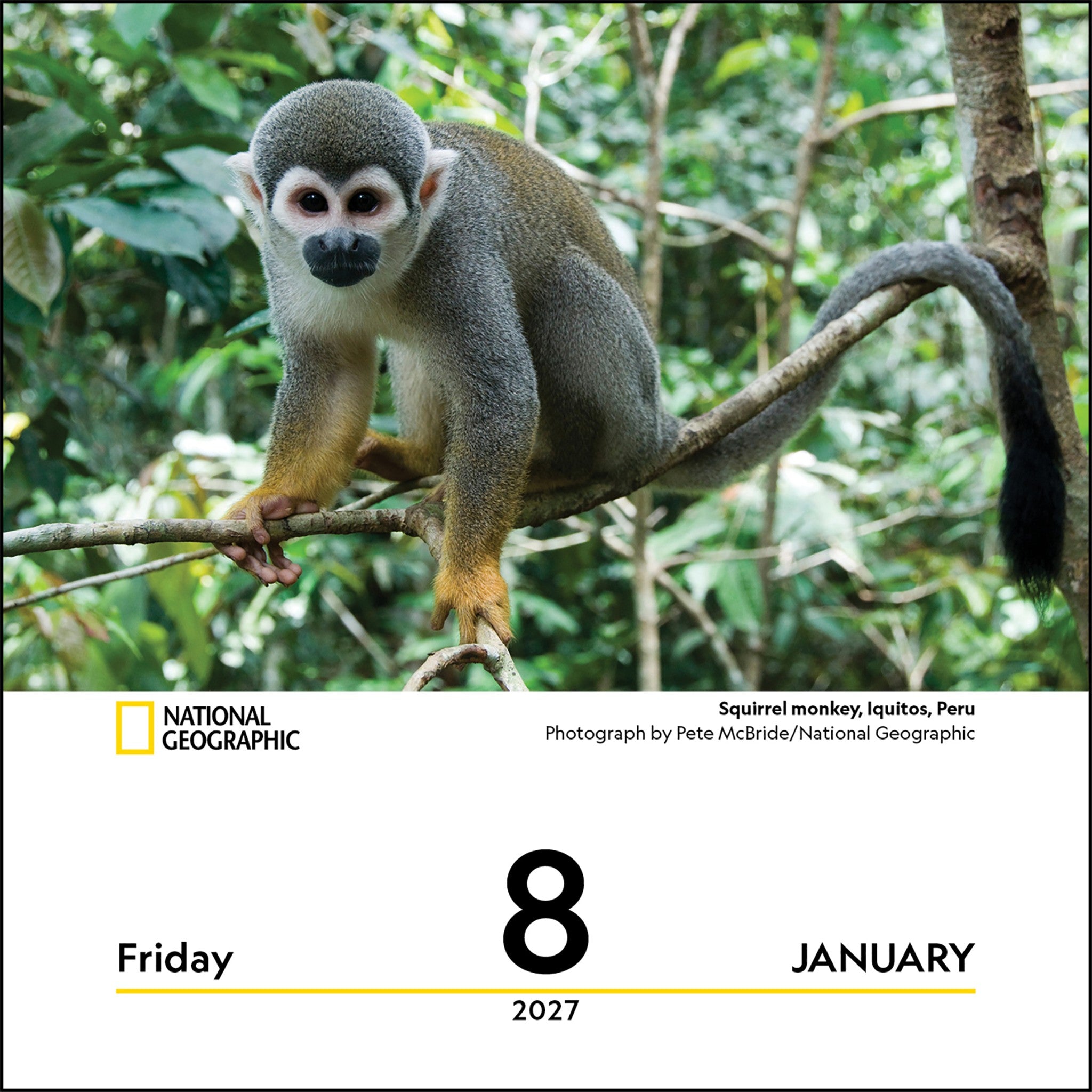 National Geographic: Nature 2027 Box Calendar - Online Only