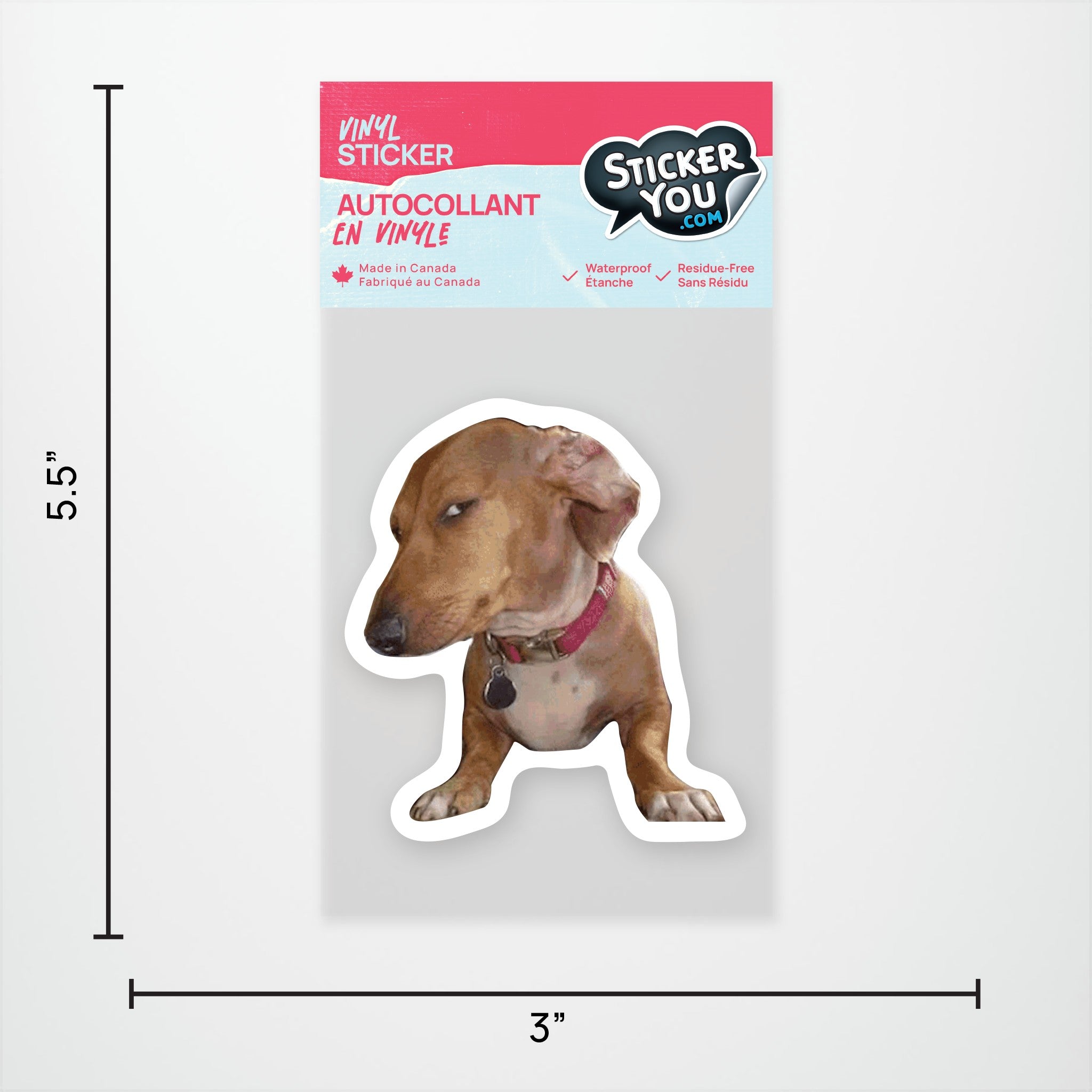Side Eye Dog Vinyl Sticker