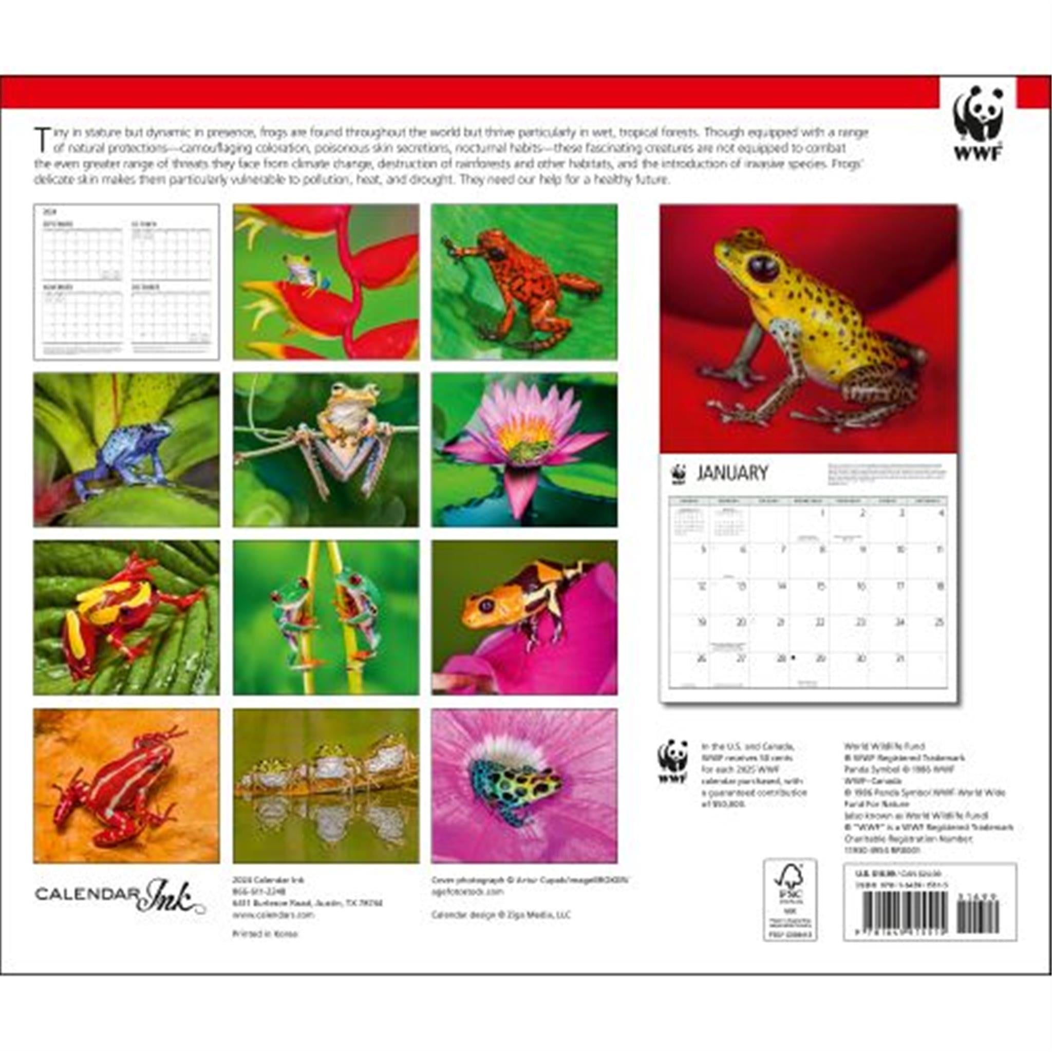 Frogs World Wildlife Fund Wall 2025 Calendar