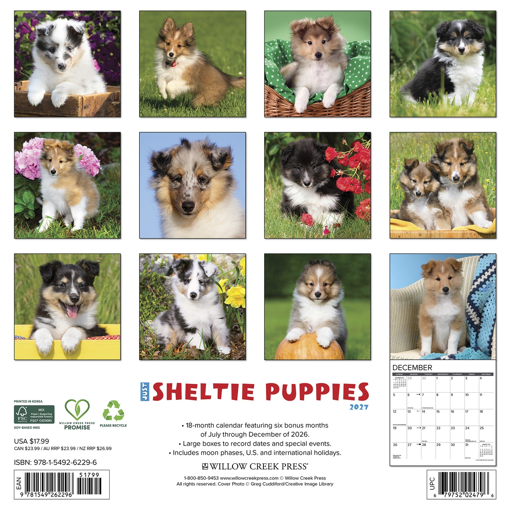 Sheltie Puppies 2027 Wall Calendar - Online Only