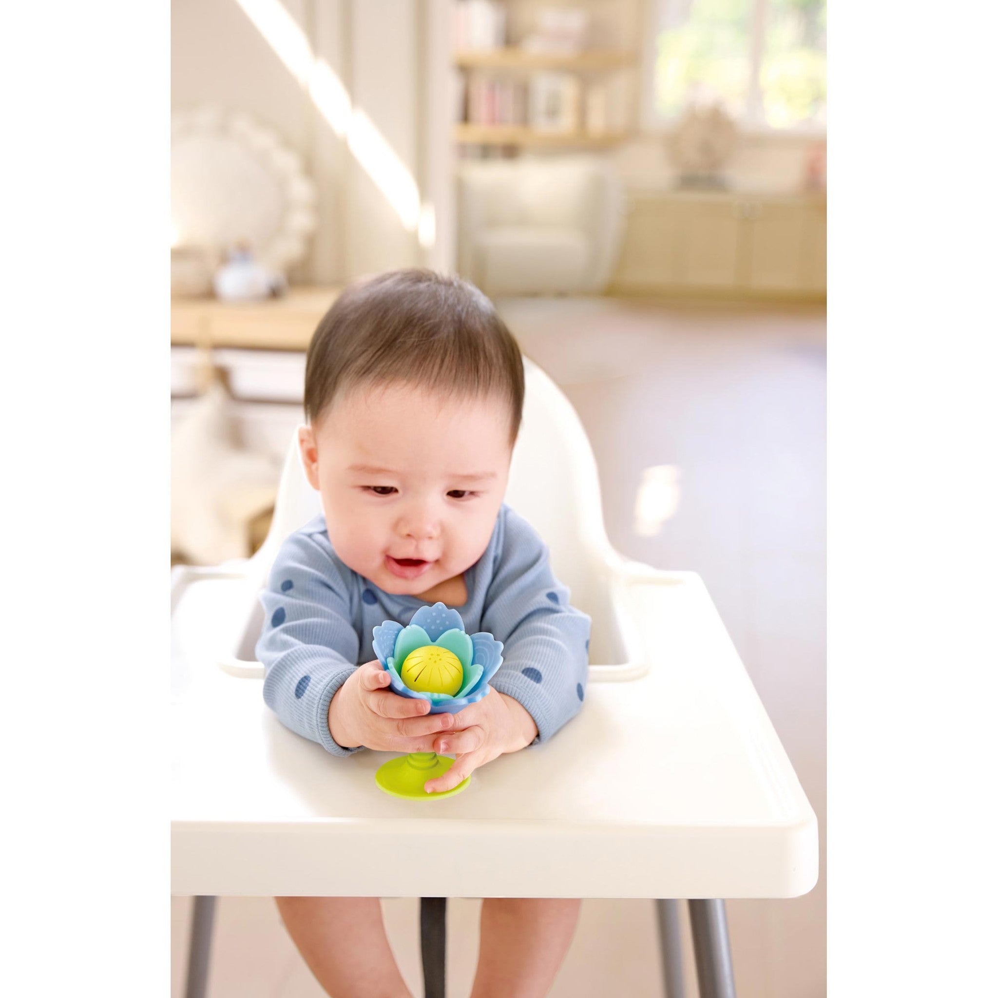 Rattle & Teether