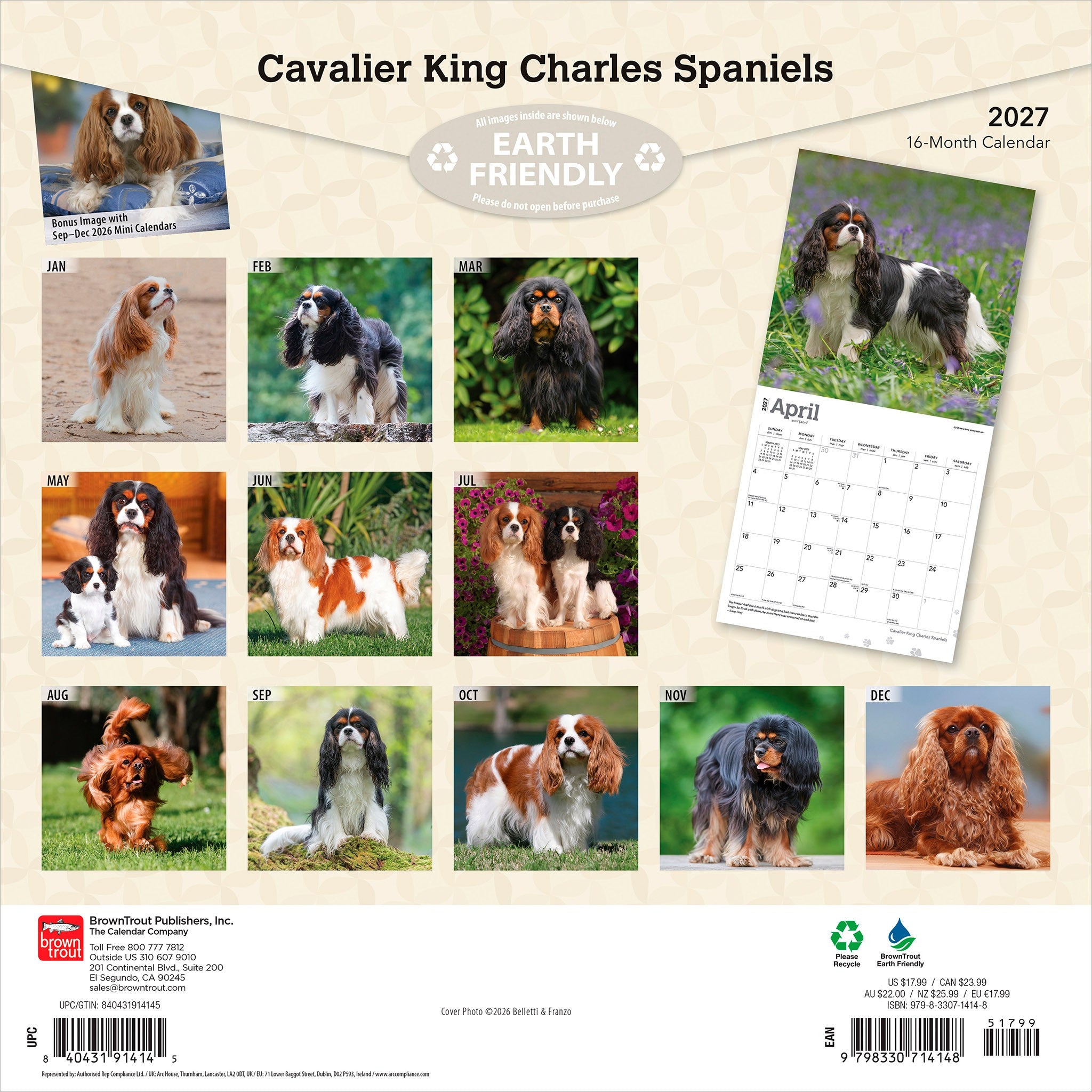 Cavalier King Charles Spaniels 2027 Wall Calendar