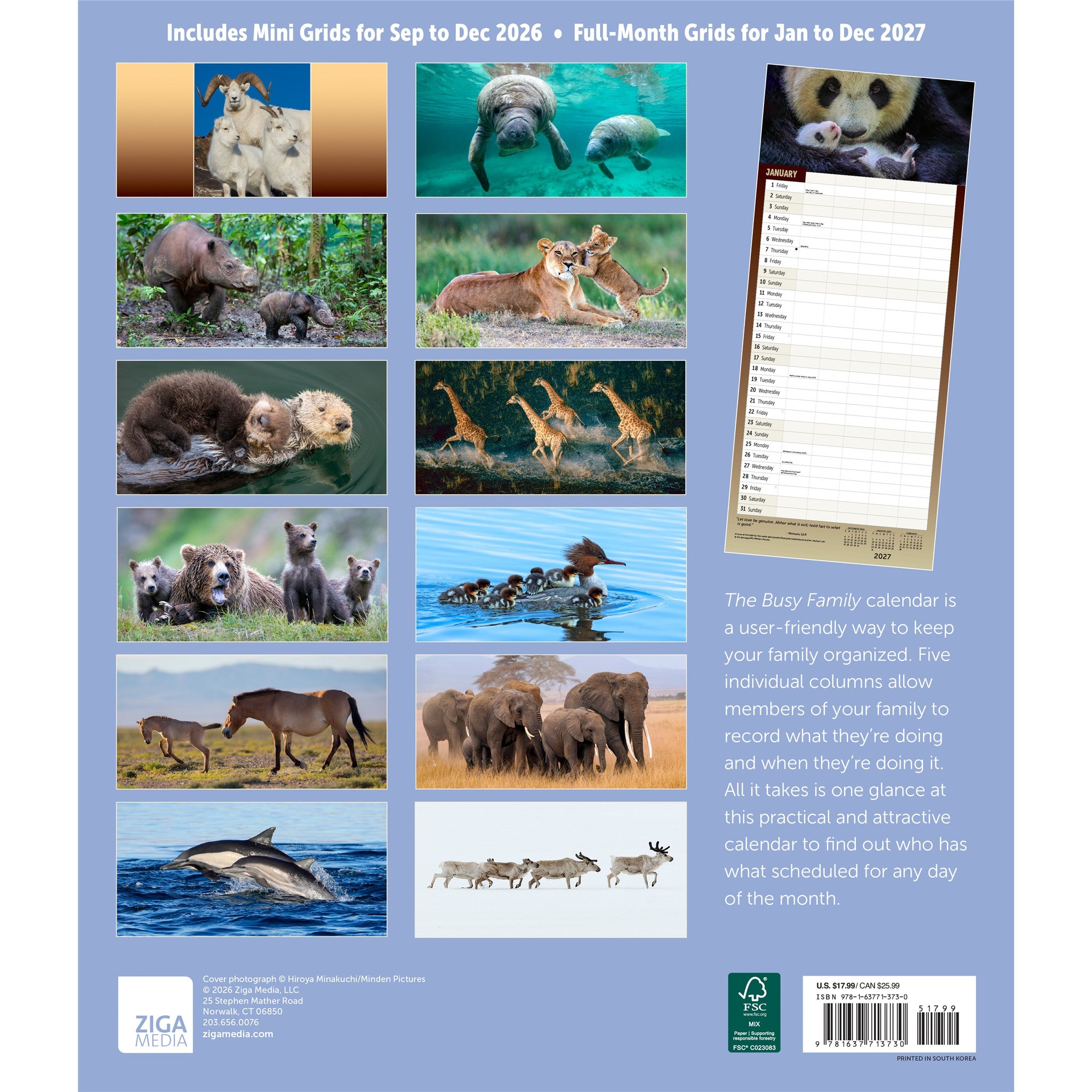 The Busy Family 2027 Wall Calendar