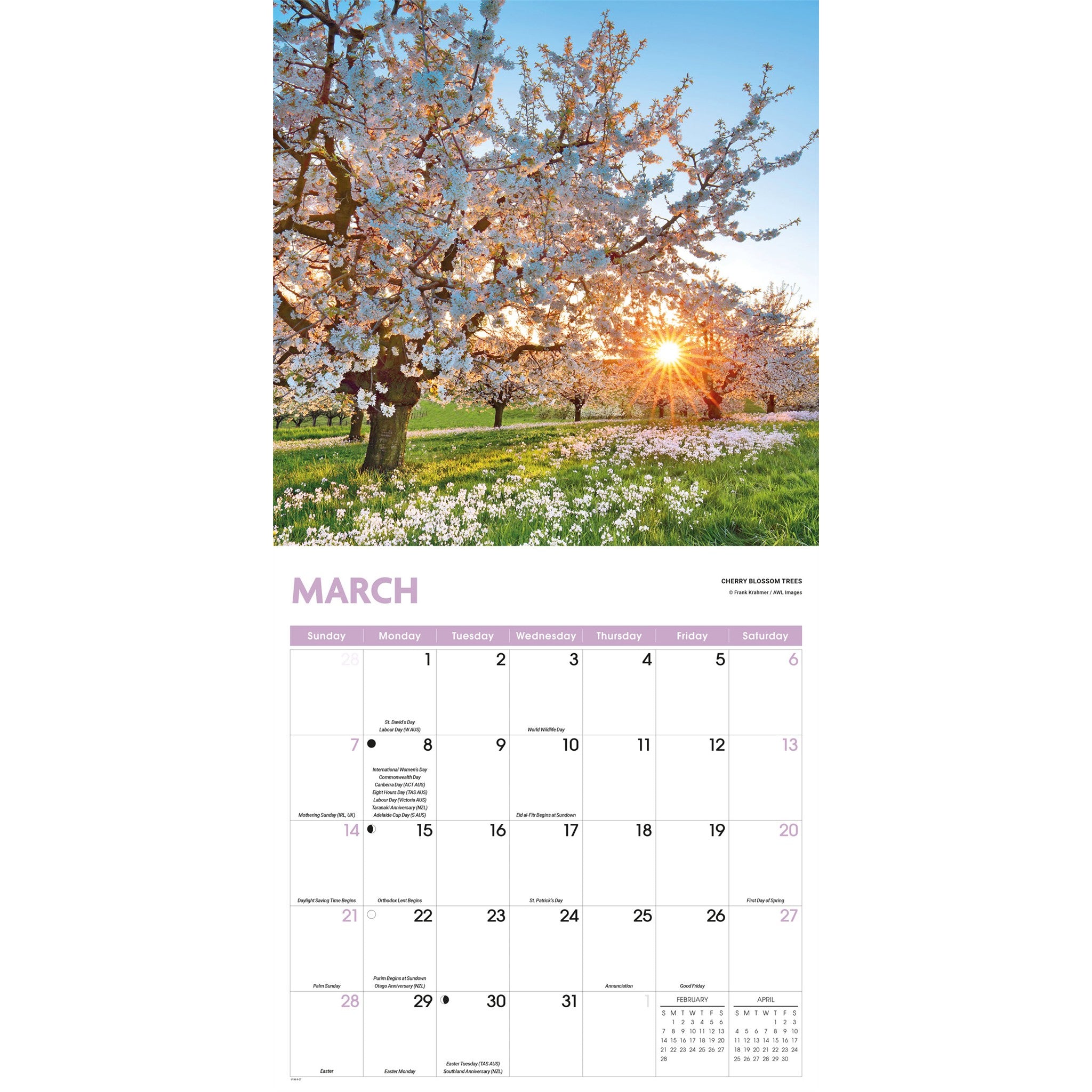 Trees 2027 Wall Calendar