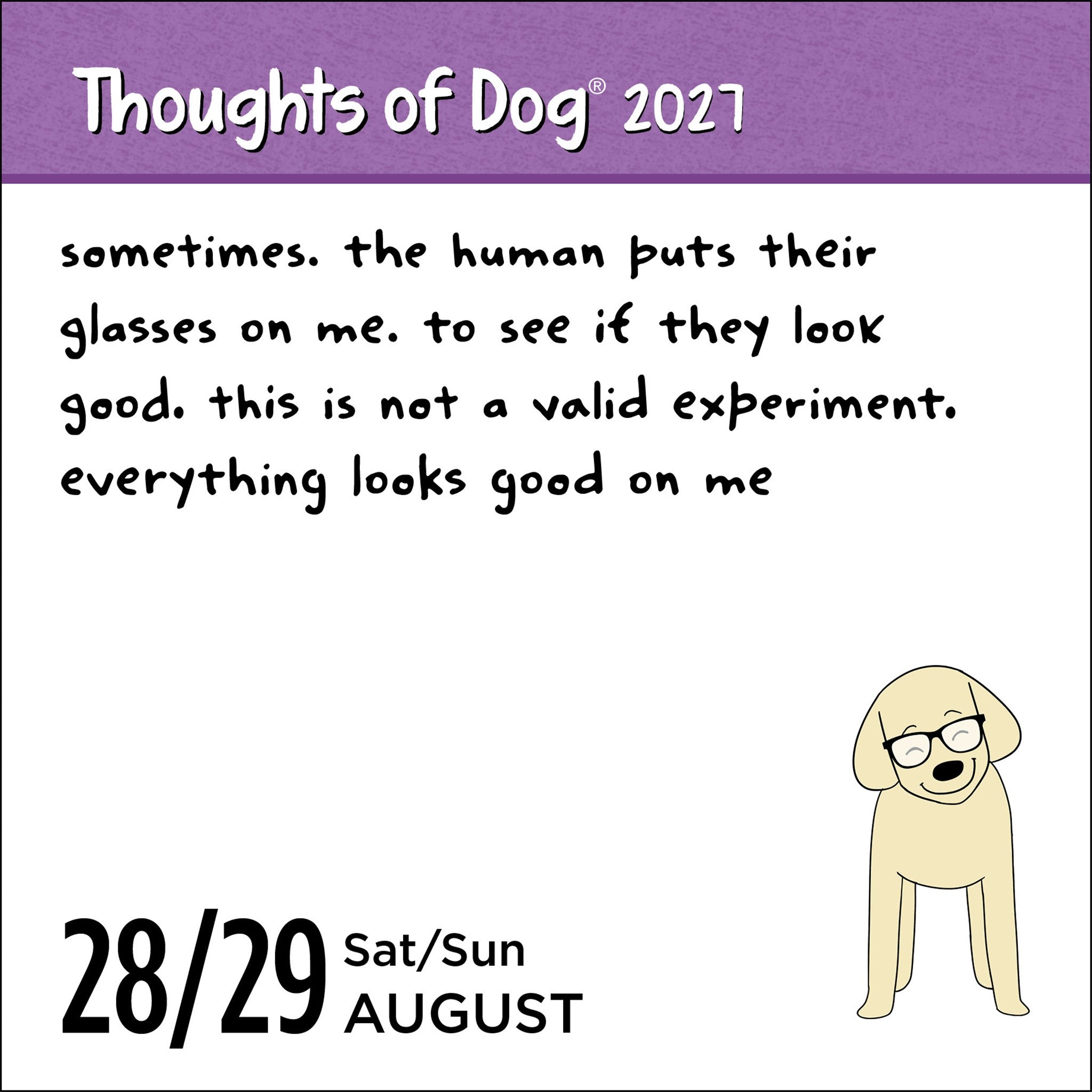 Thoughts of Dog 2027 Box Calendar