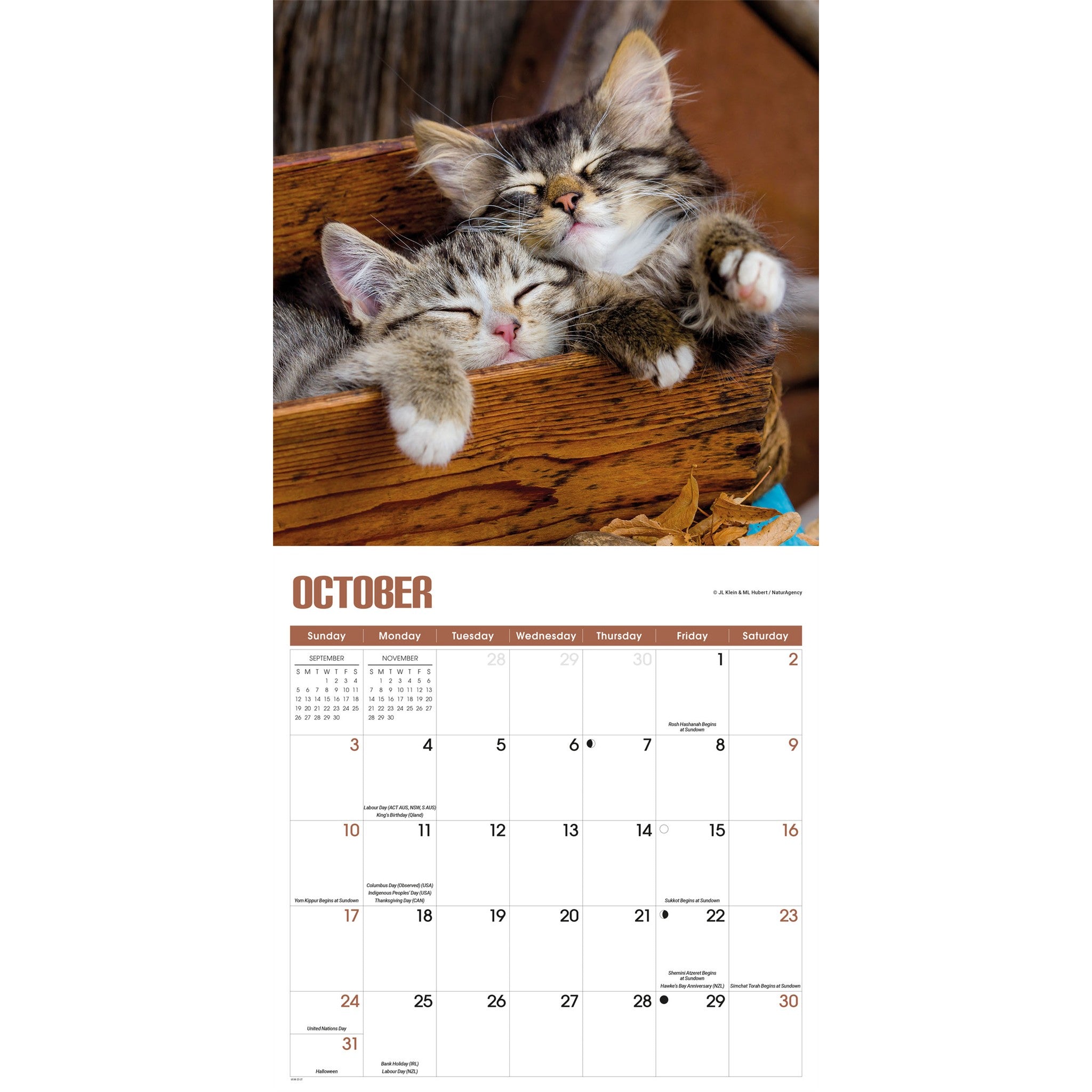 Kitty Naps 2027 Wall Calendar