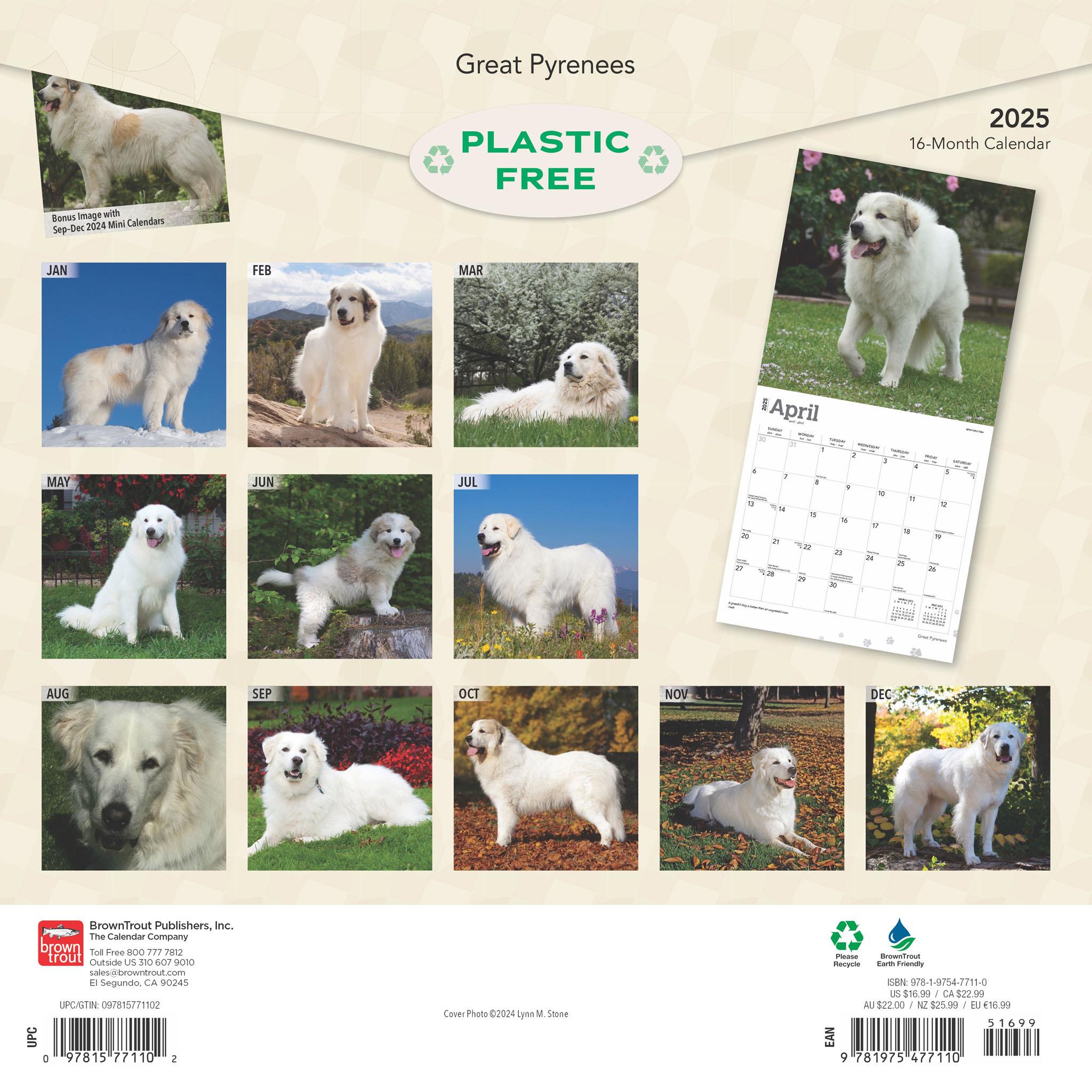 Great Pyrenees Wall 2025 Calendar
