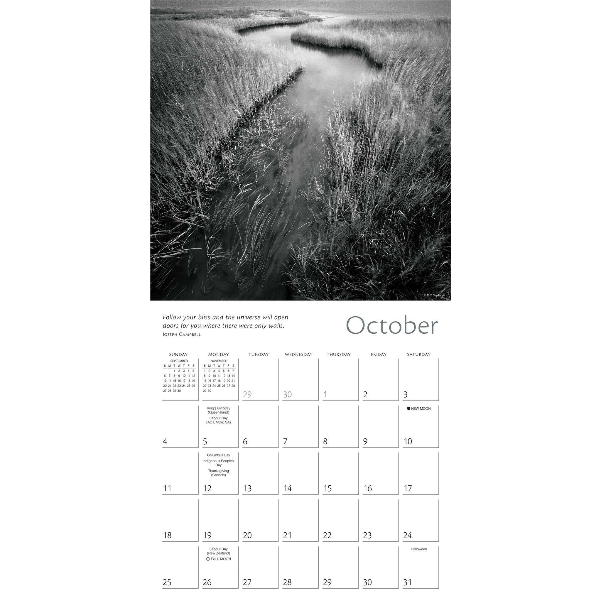 Zen of Nature 2026 Wall Calendar - Online Only