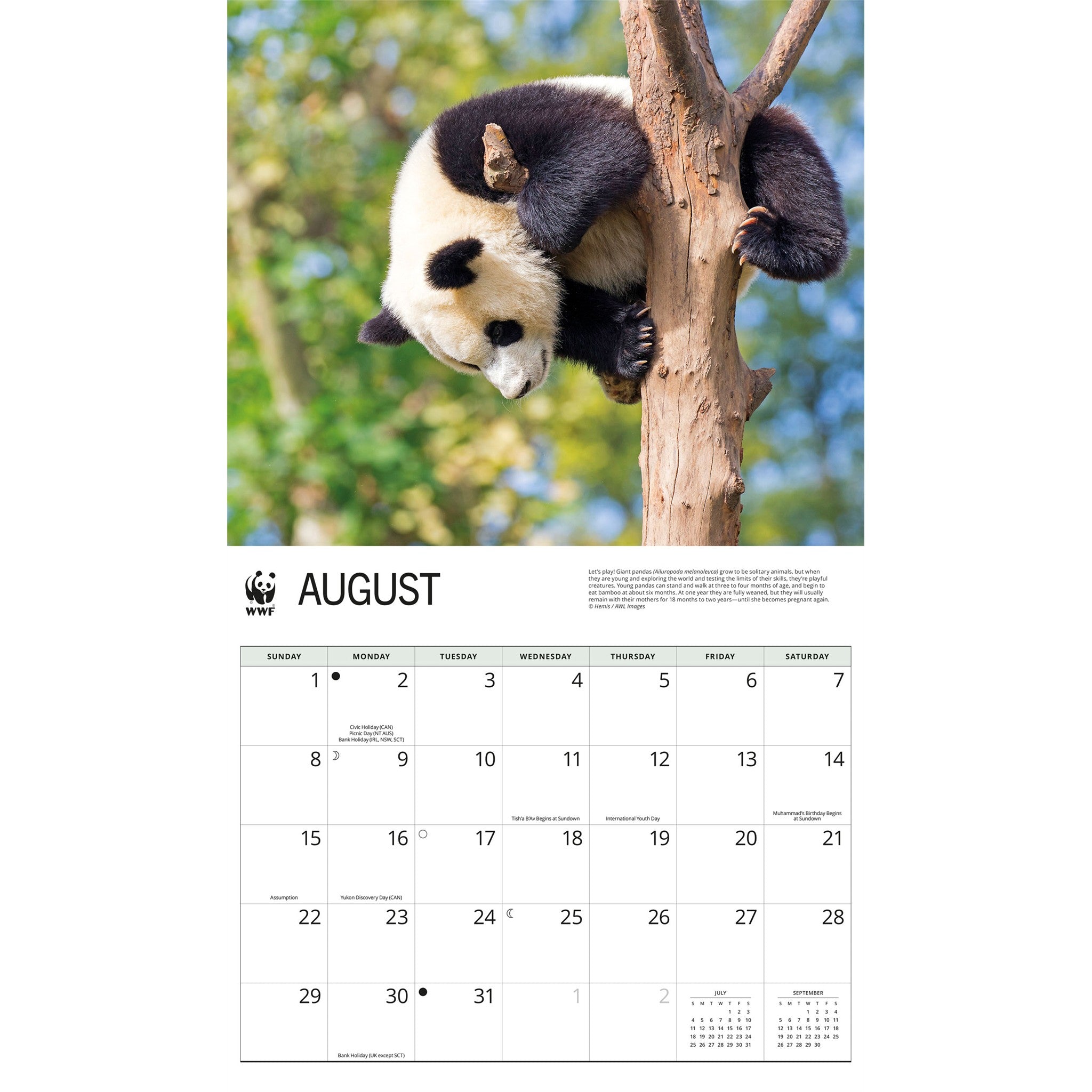 World Wildlife Fund Giant Pandas 2027 Wall Calendar