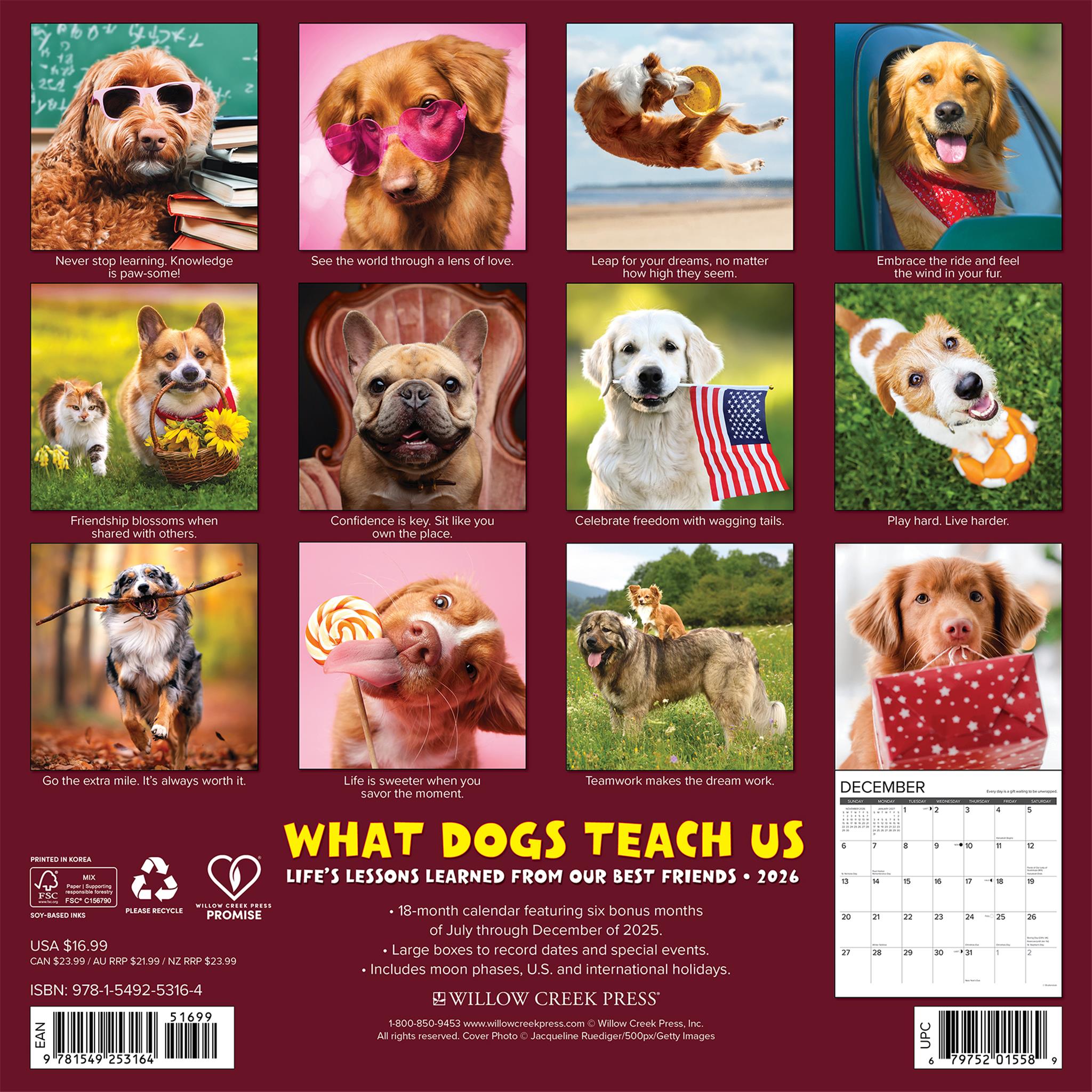 What Dogs Teach Us 2026 Wall Calendar