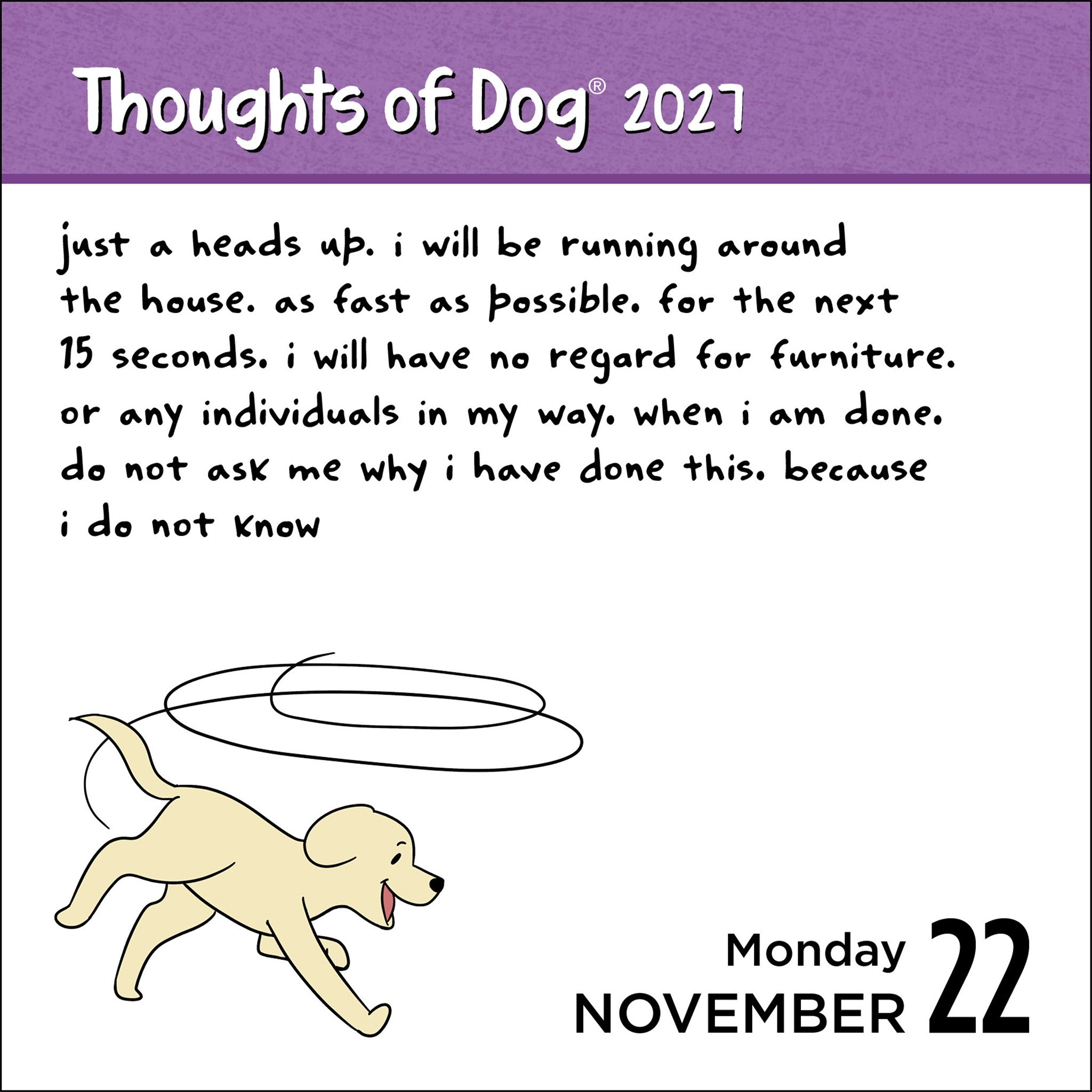 Thoughts of Dog 2027 Box Calendar