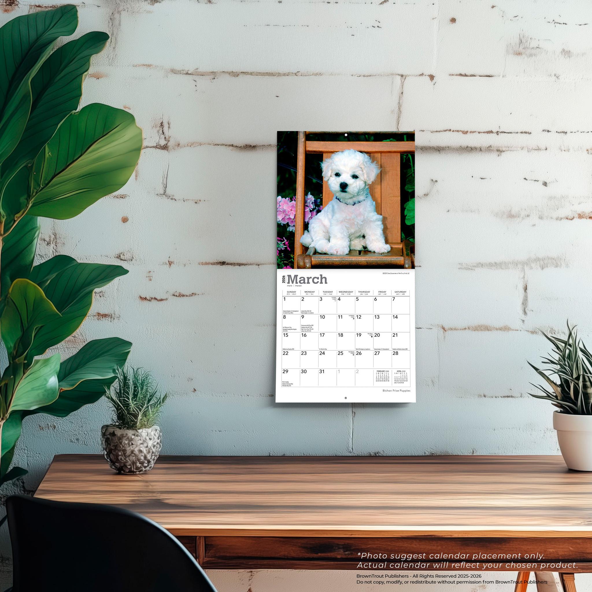 Bichon Frise Puppies 2026 Mini Calendar
