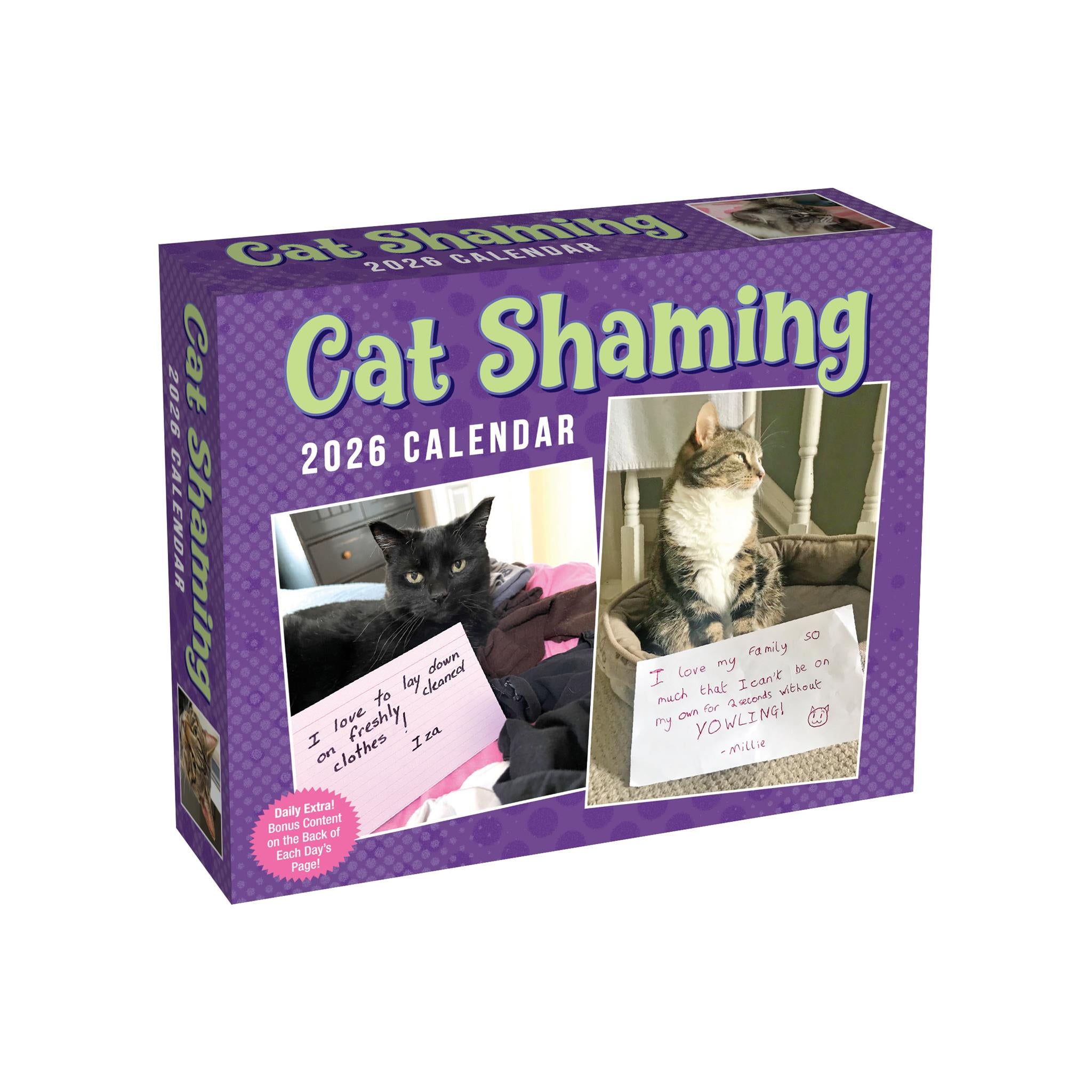 Cat Shaming 2026 Box Calendar