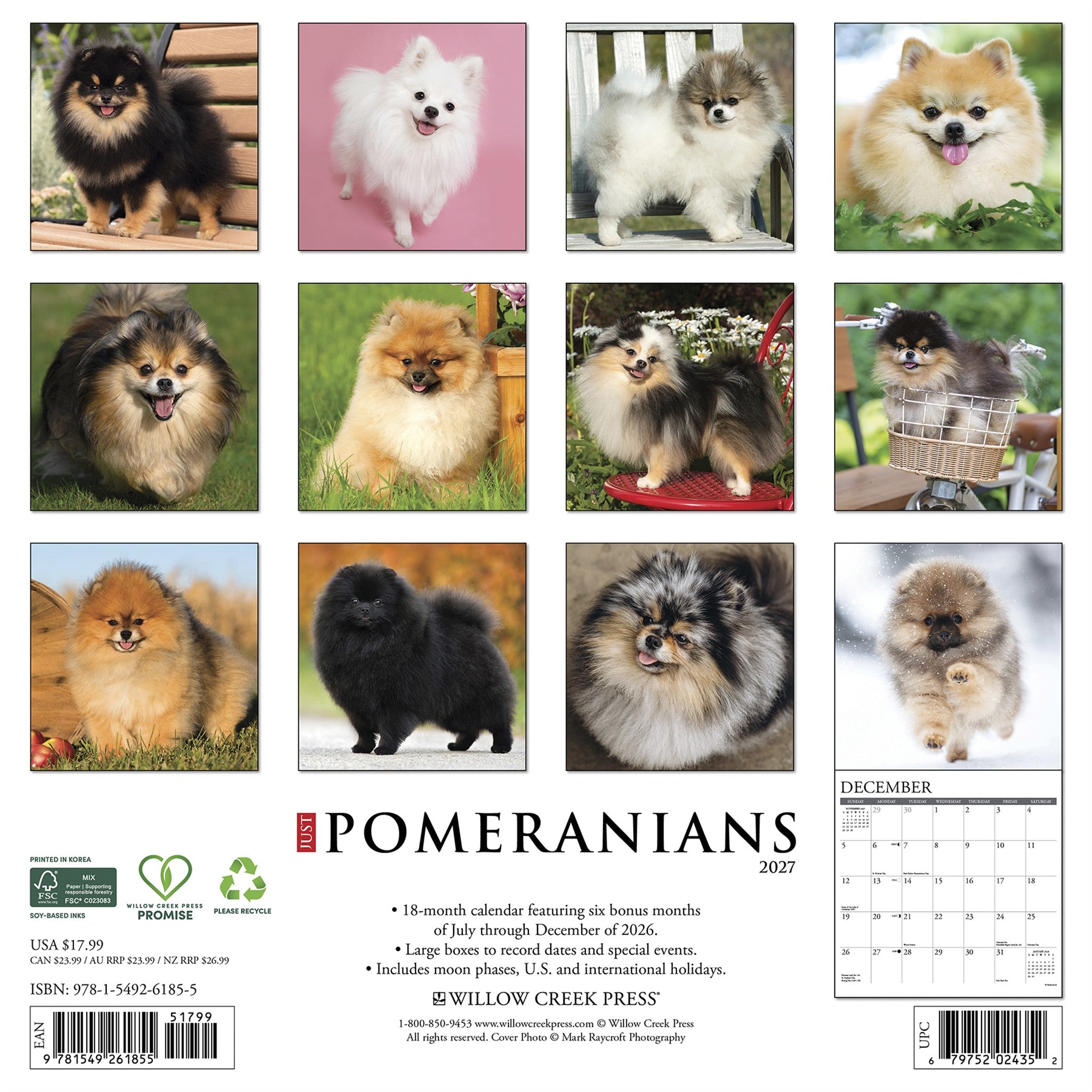 Pomeranians 2027 Wall Calendar