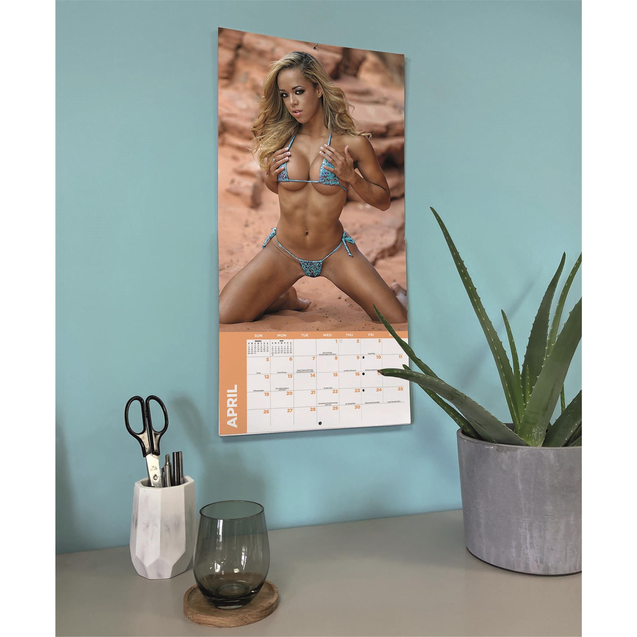 Babes 2026 Wall Calendar