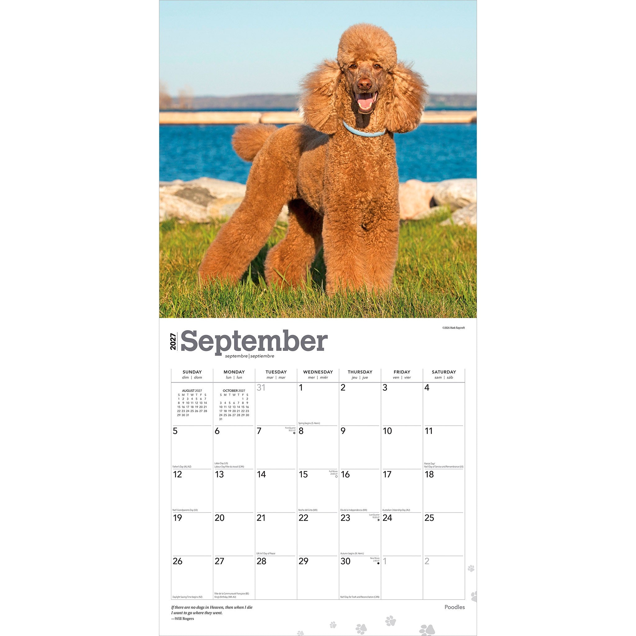 Poodles 2027 Wall Calendar