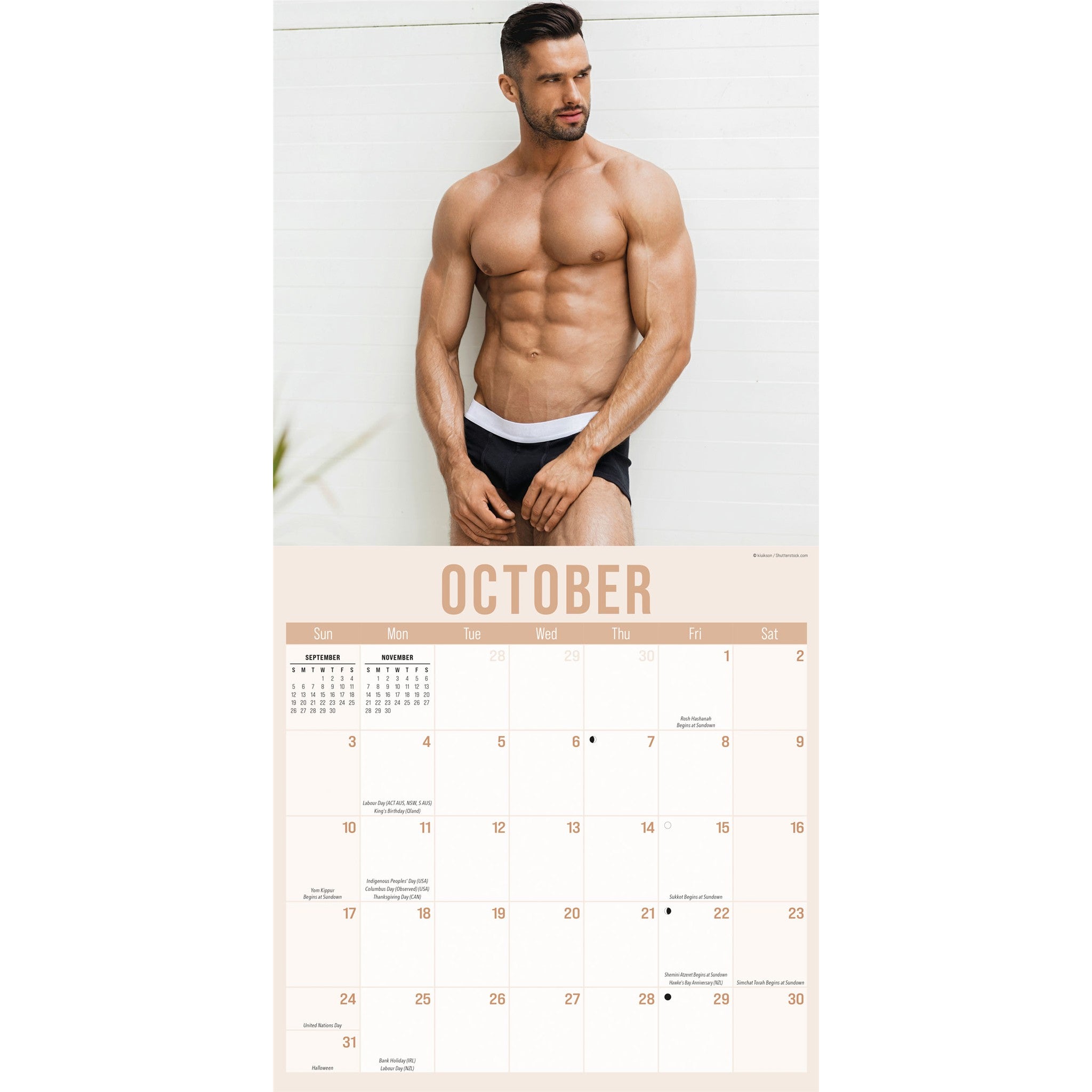 Hunks in Trunks 2027 Wall Calendar
