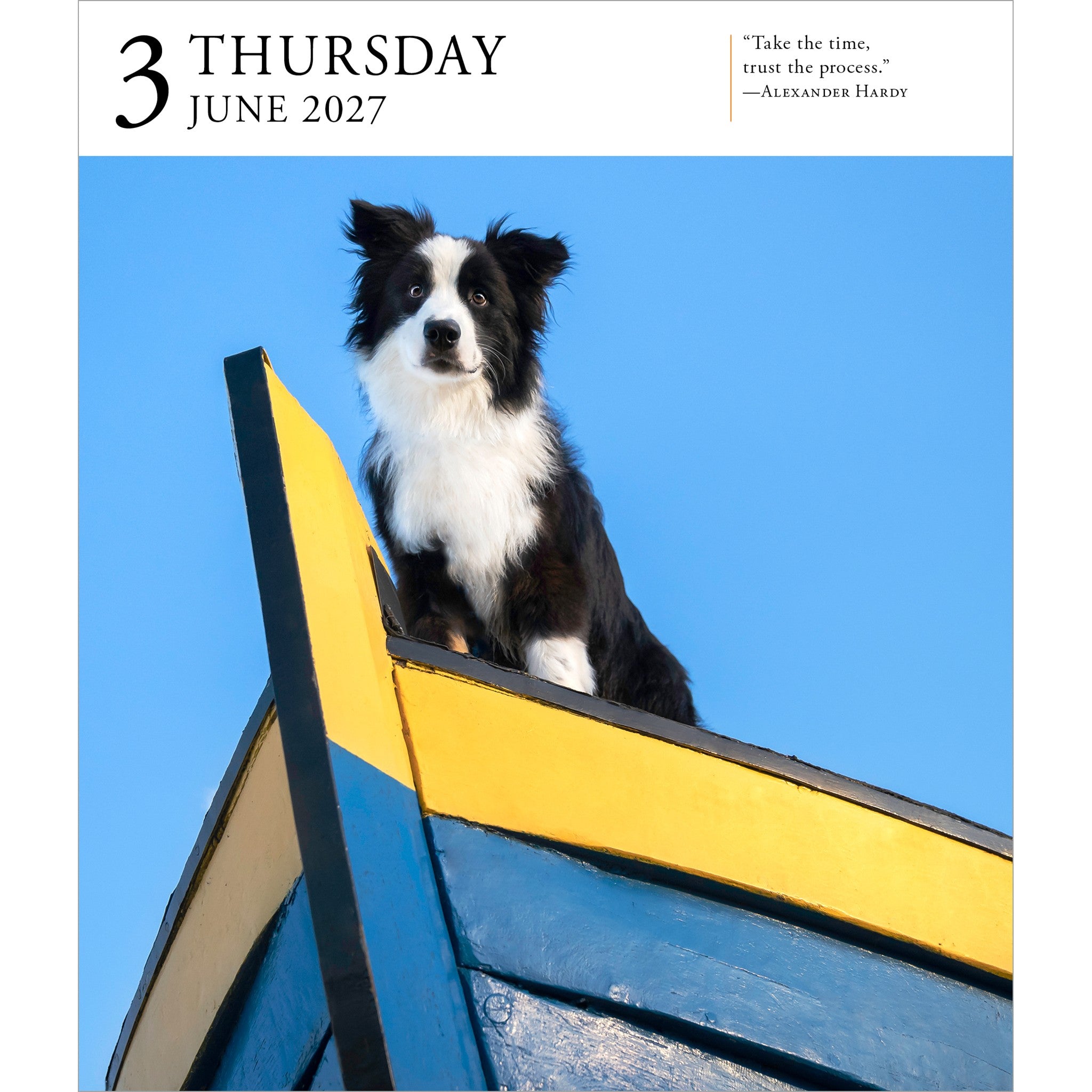 Dog Gallery 2027 Box Calendar