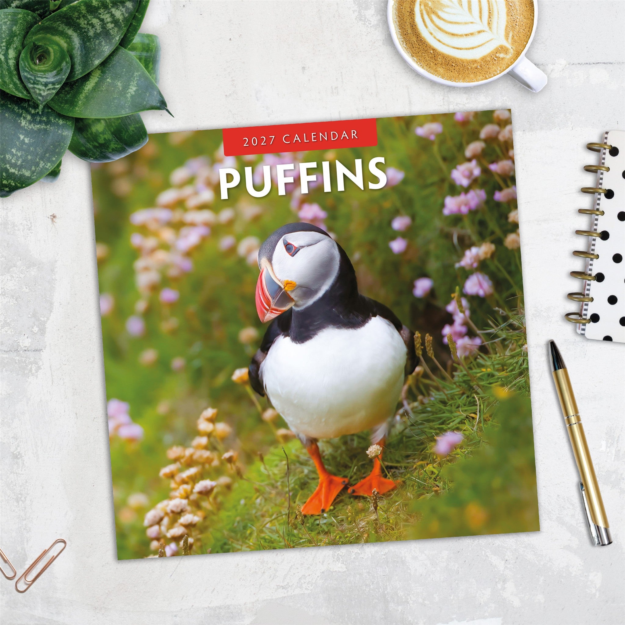 Puffins 2027 Wall Calendar