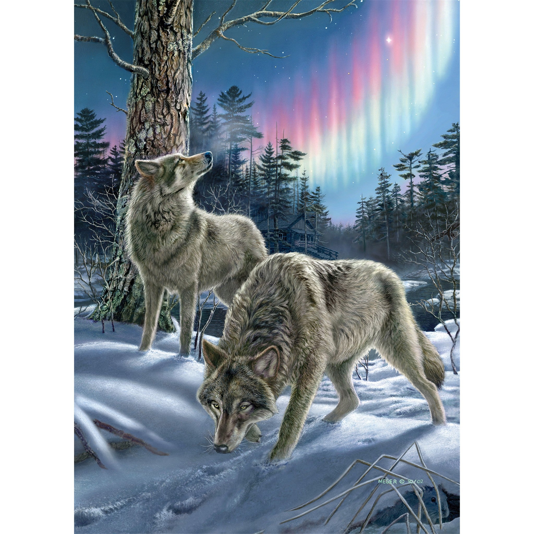 Northern Lights 500 Piece Puzzle